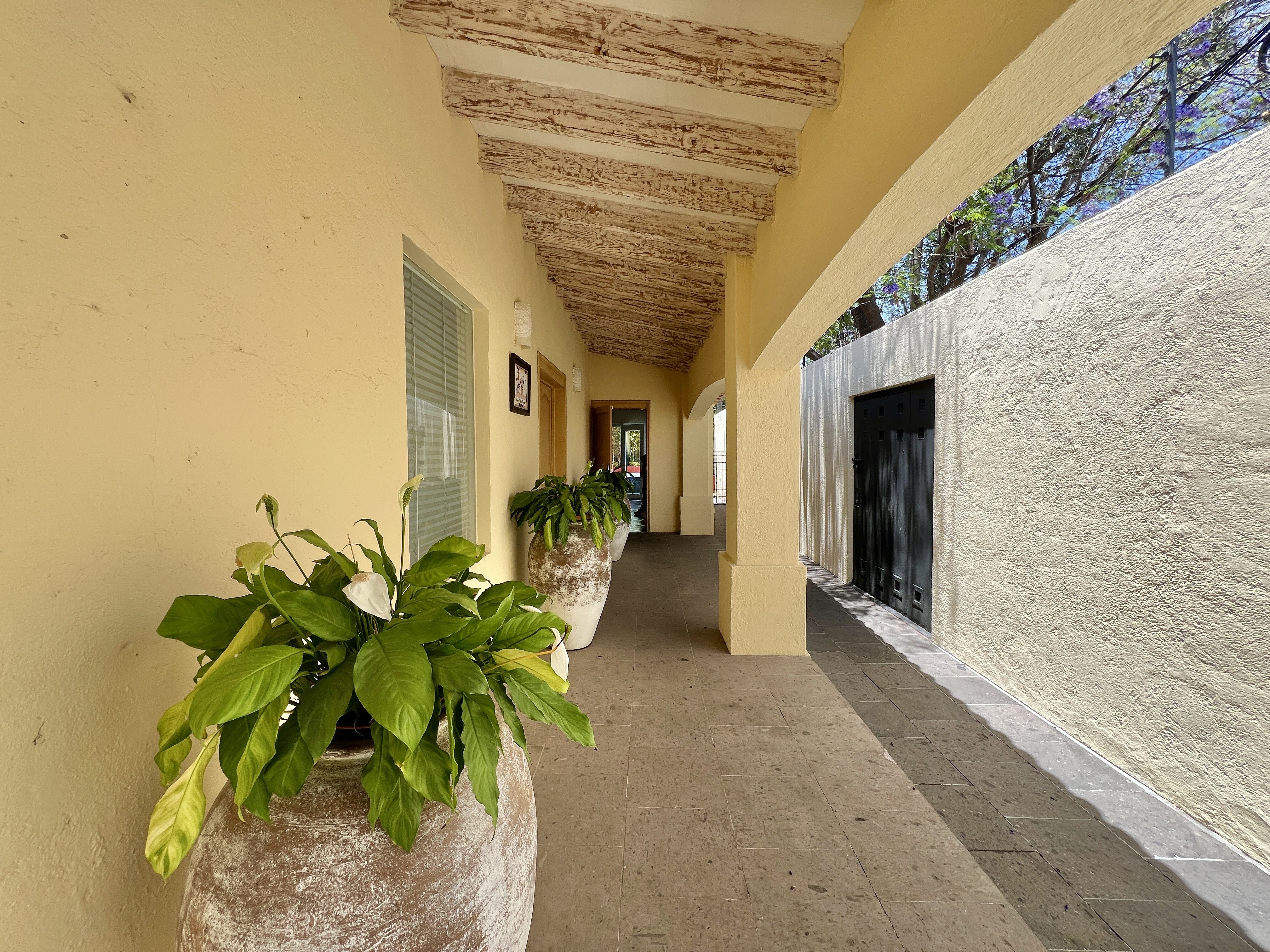  CASA MONARCA - 物件實景