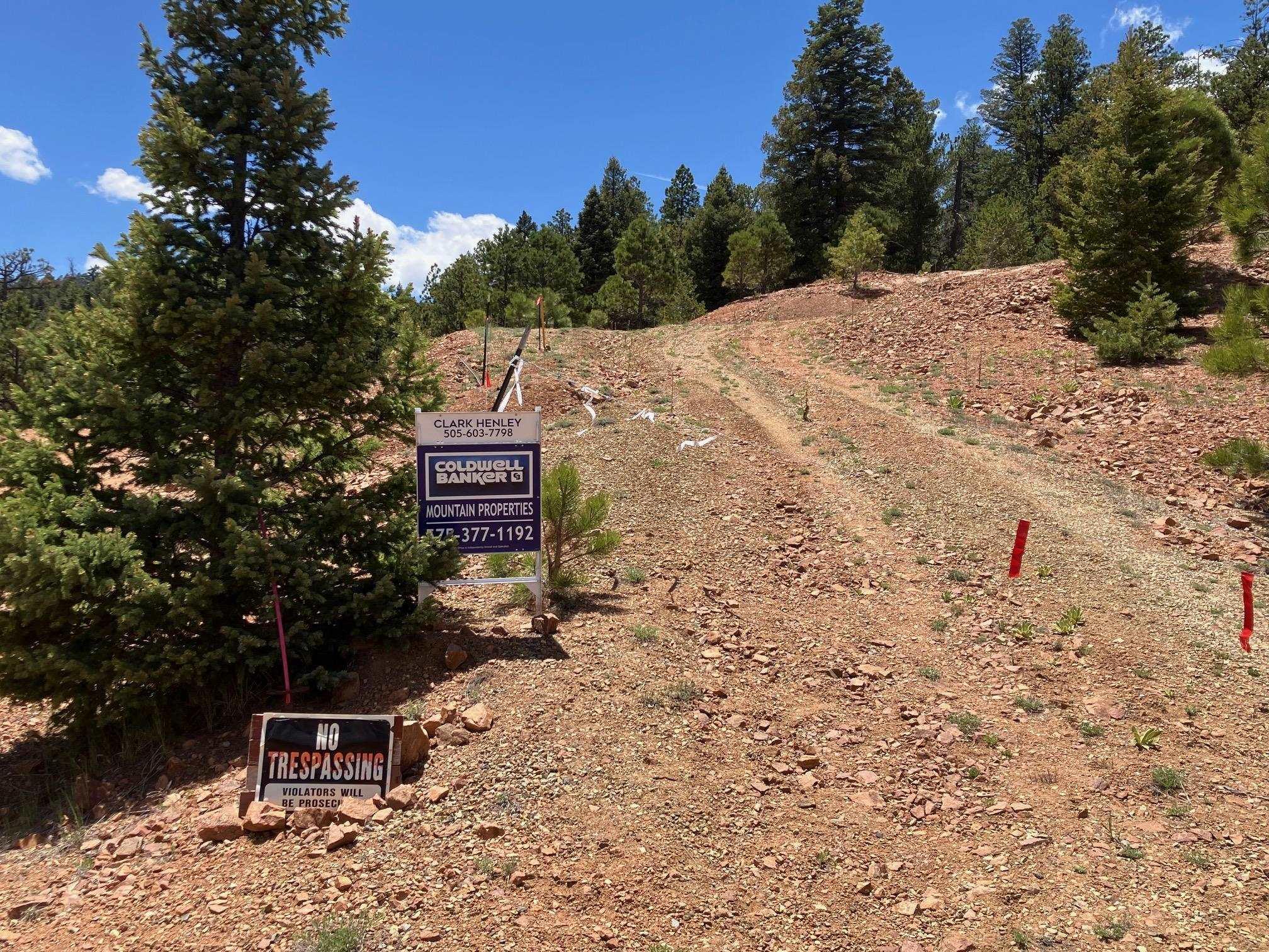 Eagle Nest, New Mexico, 87718, United States, ,Land,For Sale,1752253