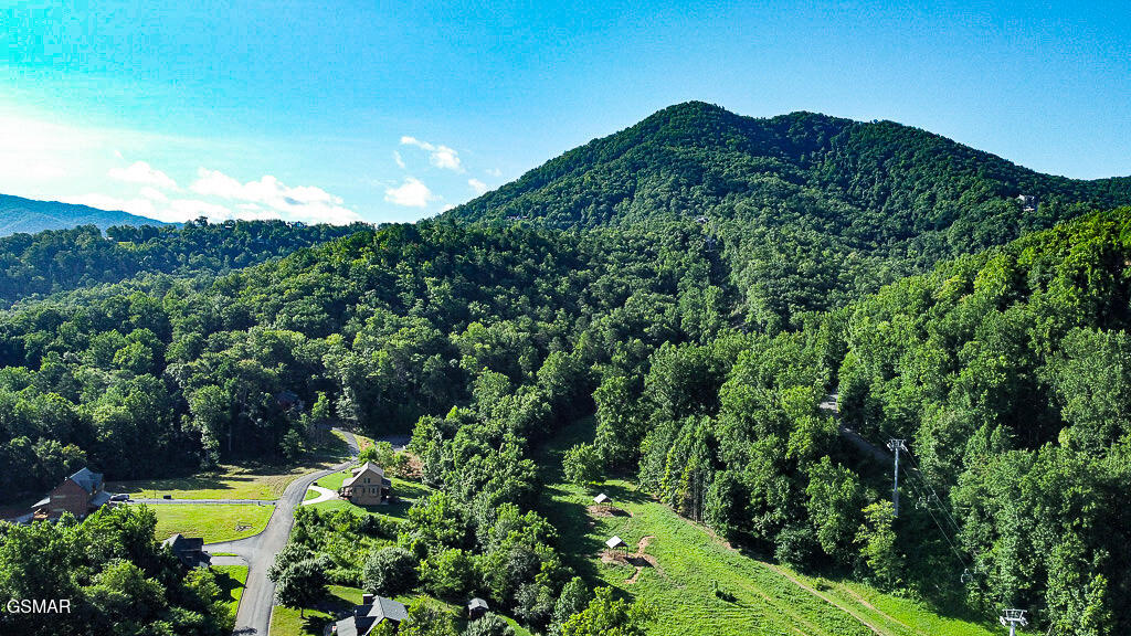 Sevierville, Tennessee, 37862, United States, 3 Bedrooms Bedrooms, ,4 BathroomsBathrooms,Residential,For Sale,2027934