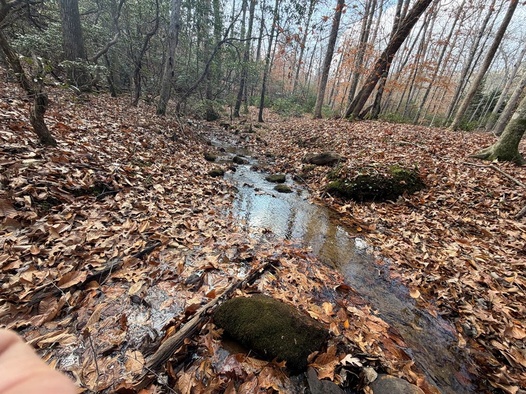 Blue Ridge, Georgia, 30513, United States, 3 Bedrooms Bedrooms, ,3 BathroomsBathrooms,Residential,For Sale,1995238