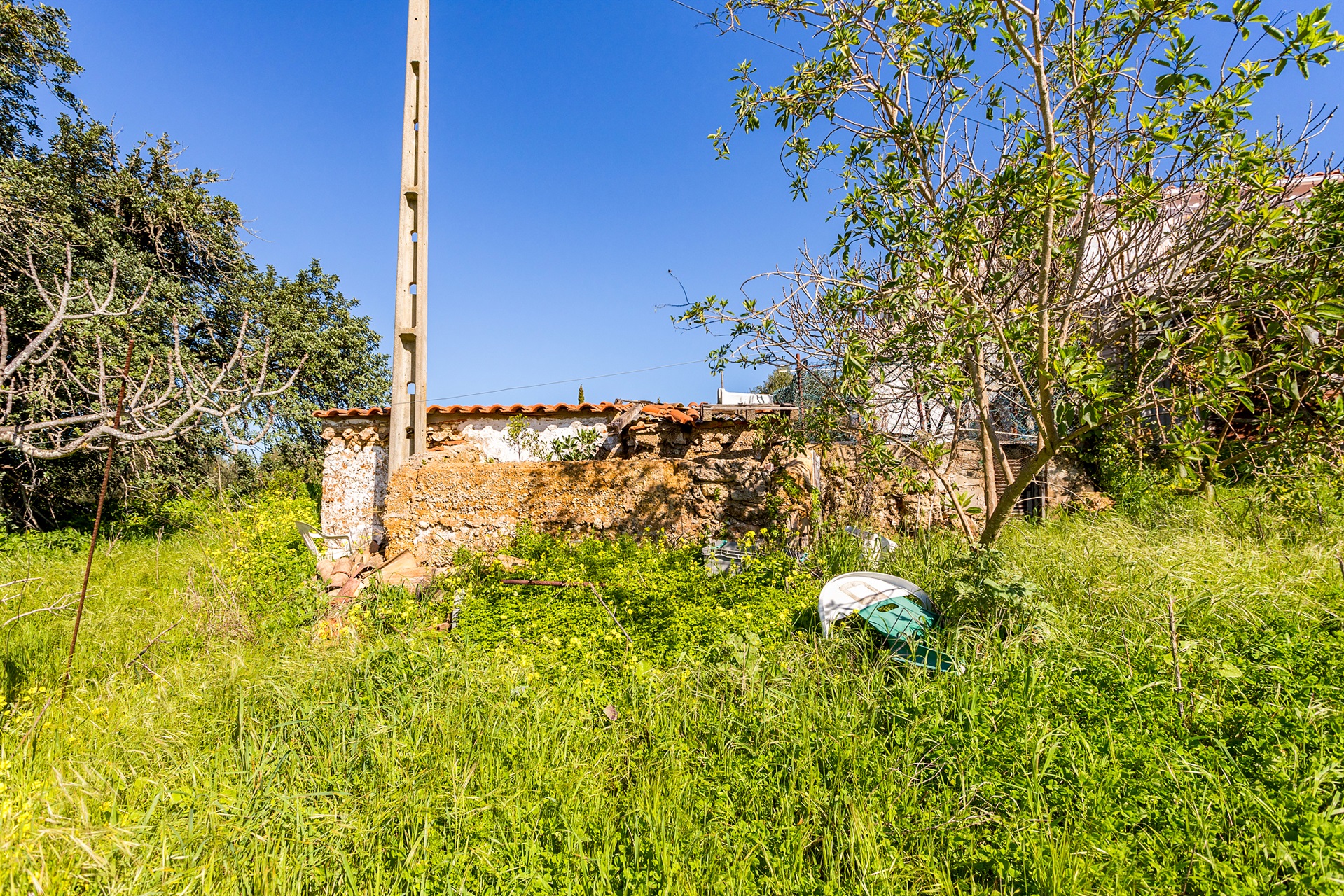  House for Sale - 物件實景