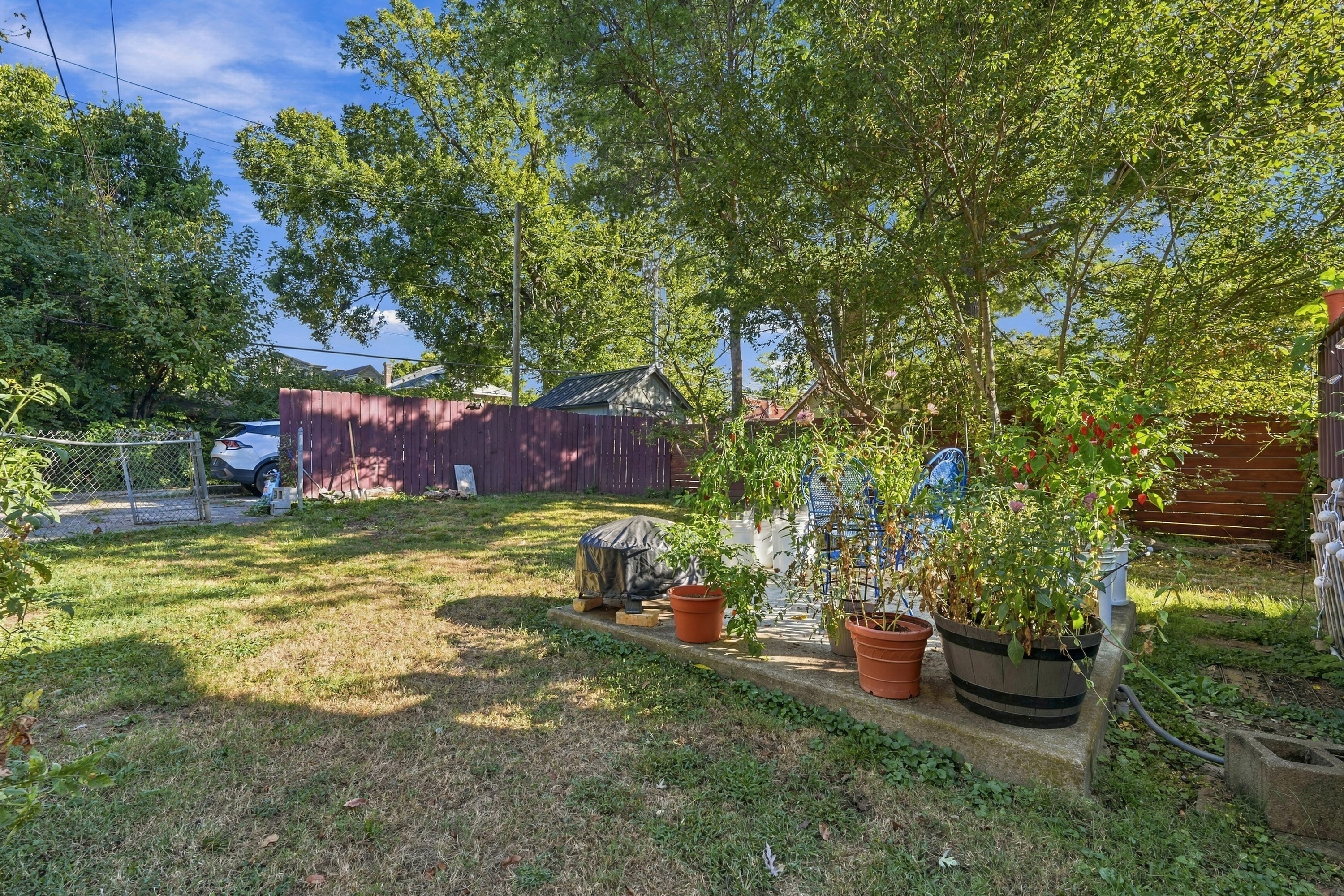  1855 Harvard Drive, Louisville, KY 40205 - 物件實景