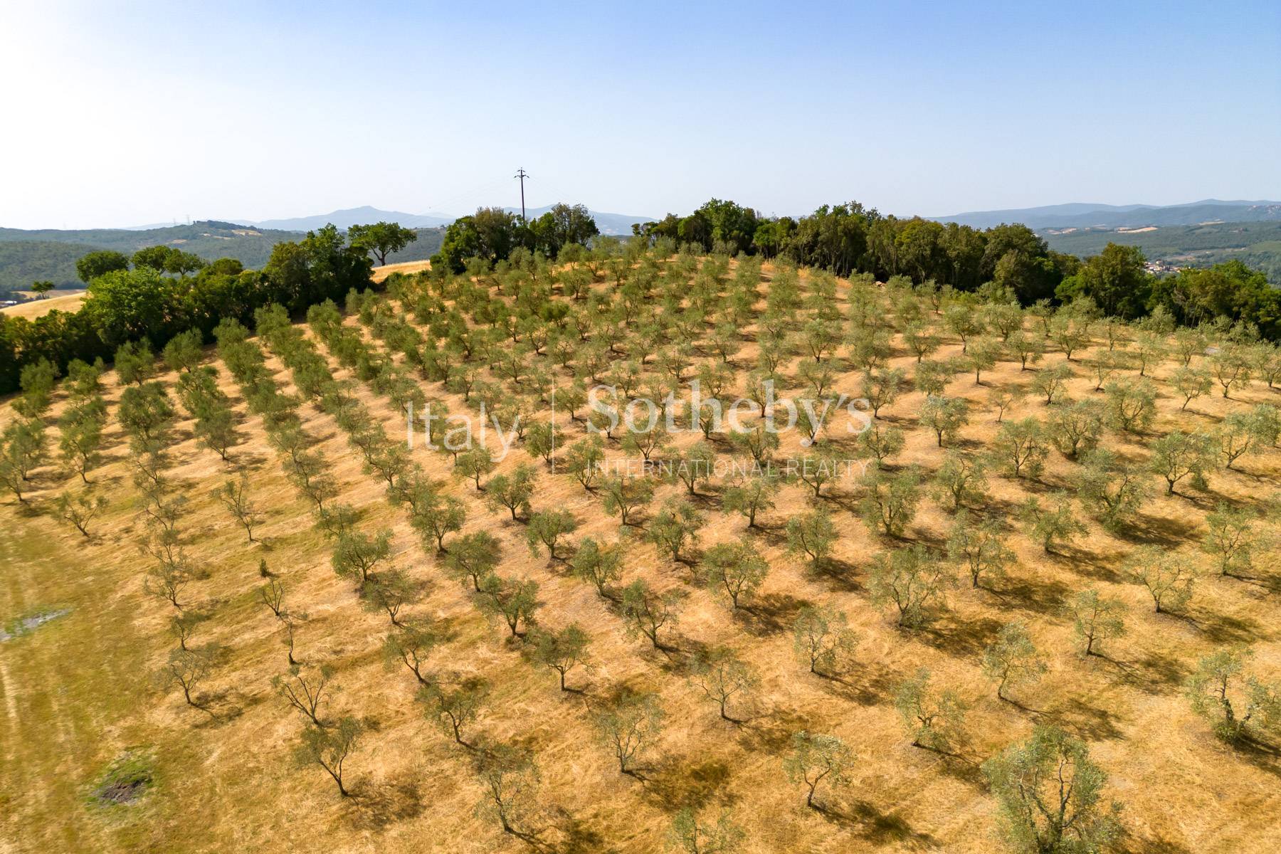  One-of-a-kind Hunting Reserve in Maremma - 物件實景