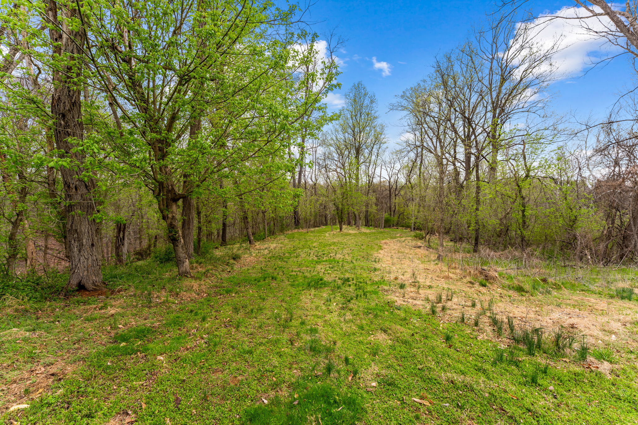  14039 Amys Meadow Court, Leesburg, VA, 20176 - 物件實景