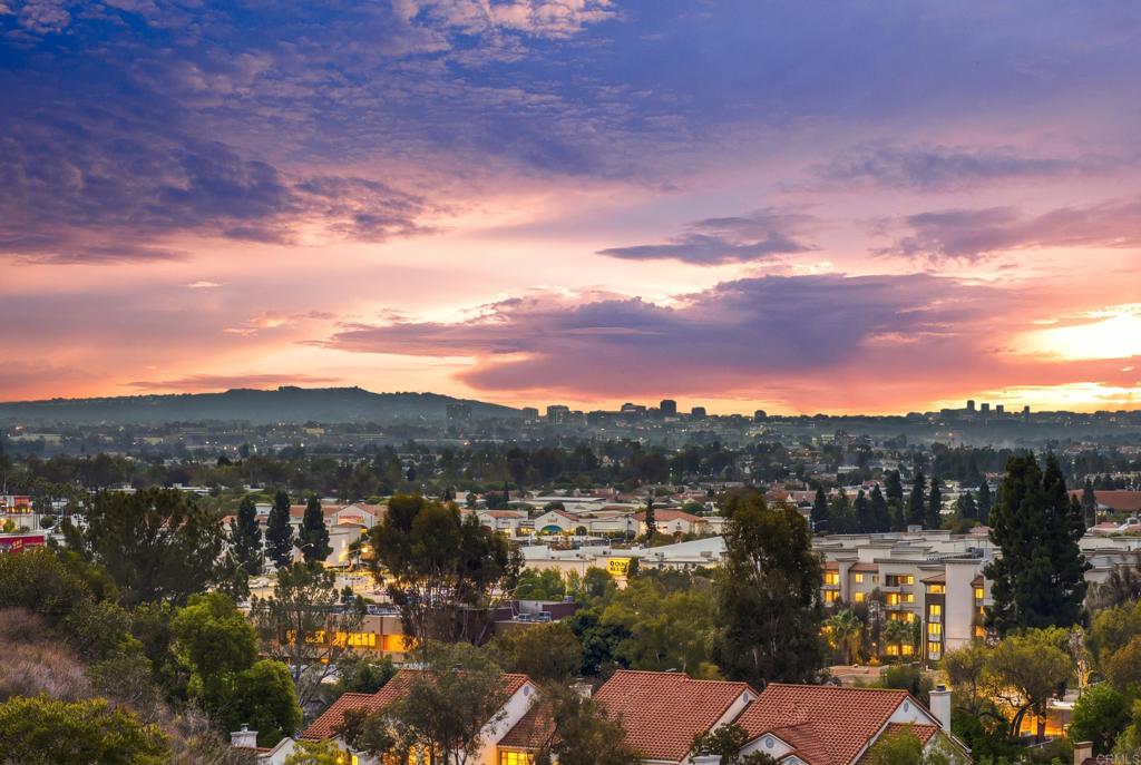 Affinity Ct, San Diego, CA 92131 #1