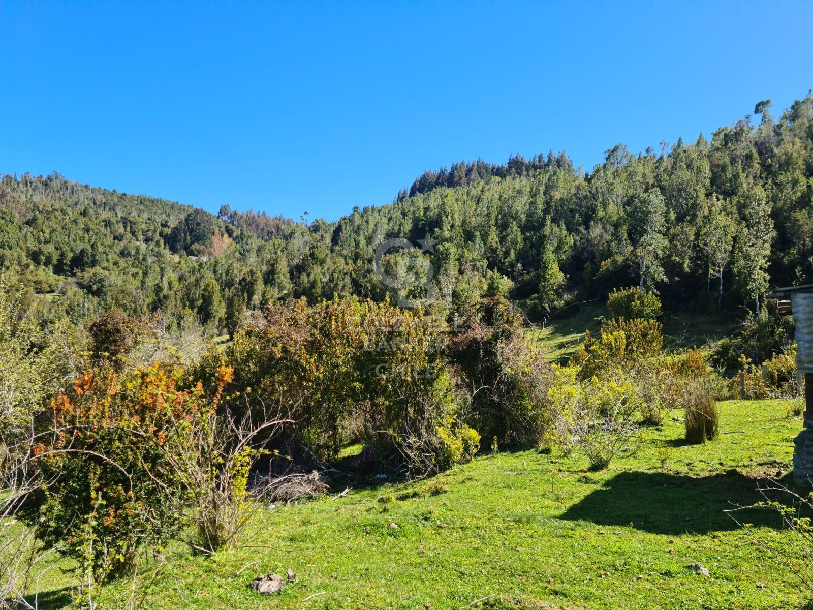Fresia, Chile, ,Residential,For Sale,1913252