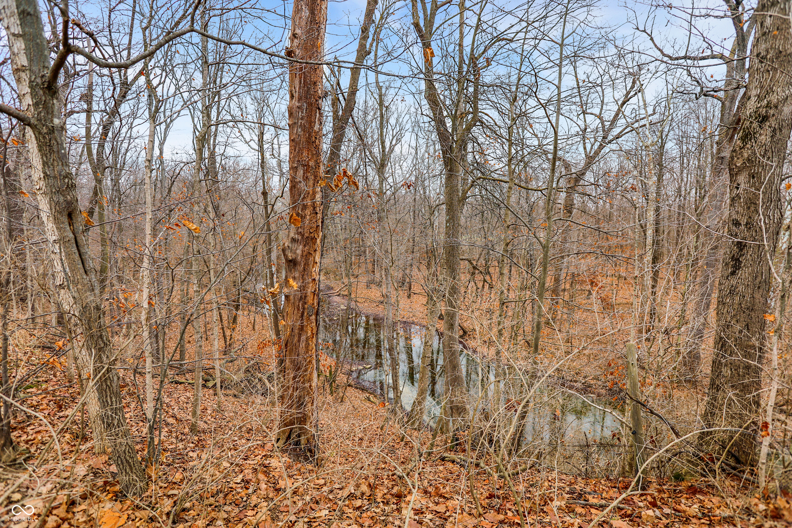 Arcadia, Indiana, 46030, United States, ,Residential,For Sale,2009642