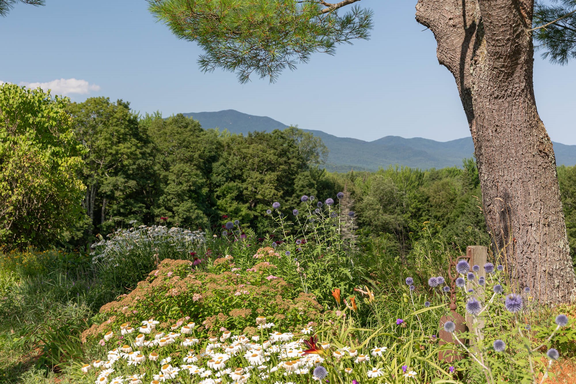 Hyde Park, Vermont, 05655, United States, 3 Bedrooms Bedrooms, ,2 BathroomsBathrooms,Residential,For Sale,1942528