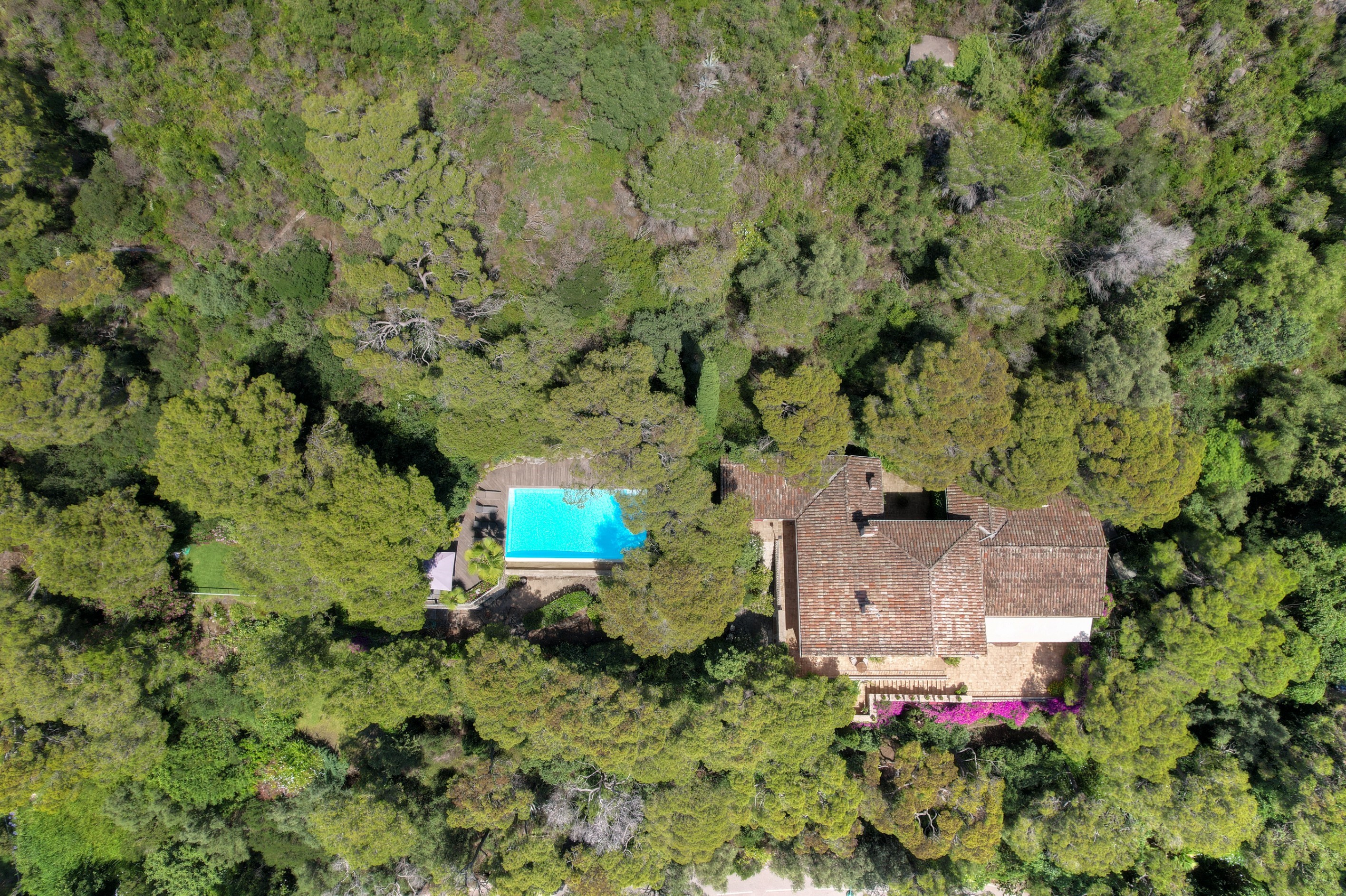  Exceptional provençal villa Cap-Ferrat, panoramic sea views, pool, landscaped g… - 物件實景