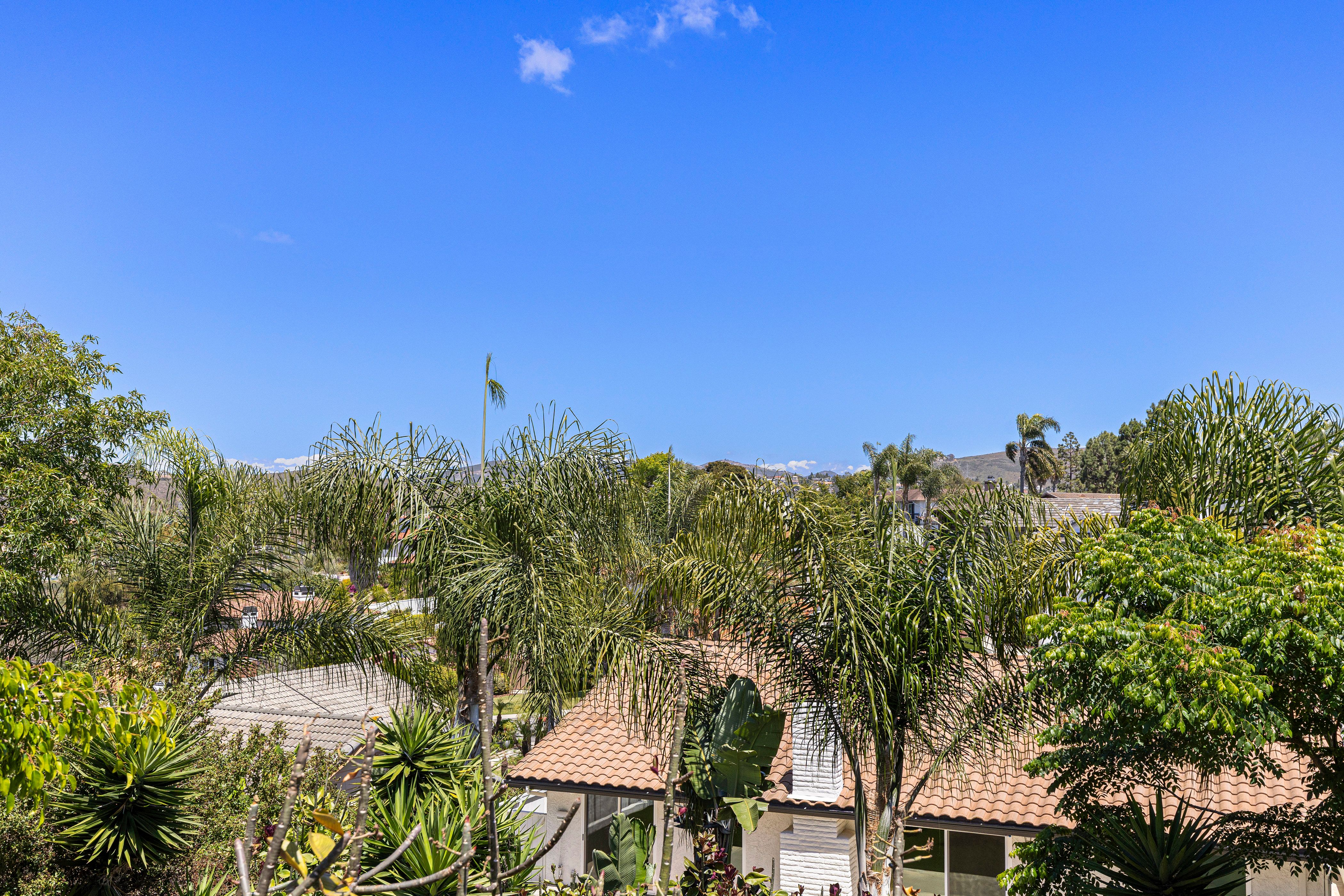  2446-2448 Sacada Circle, Carlsbad, CA 92009 - 物件實景