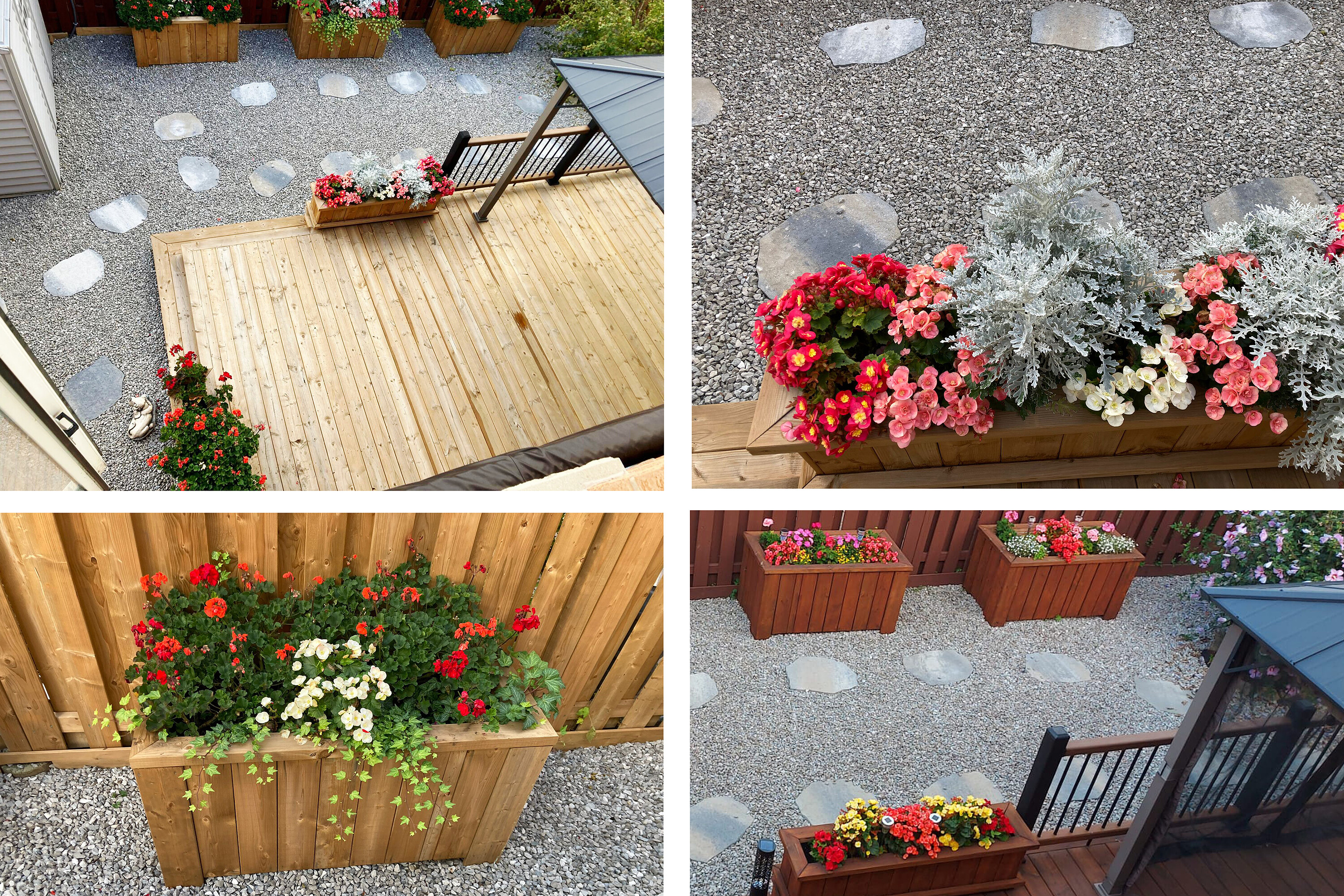  Vellore Village - 物件實景