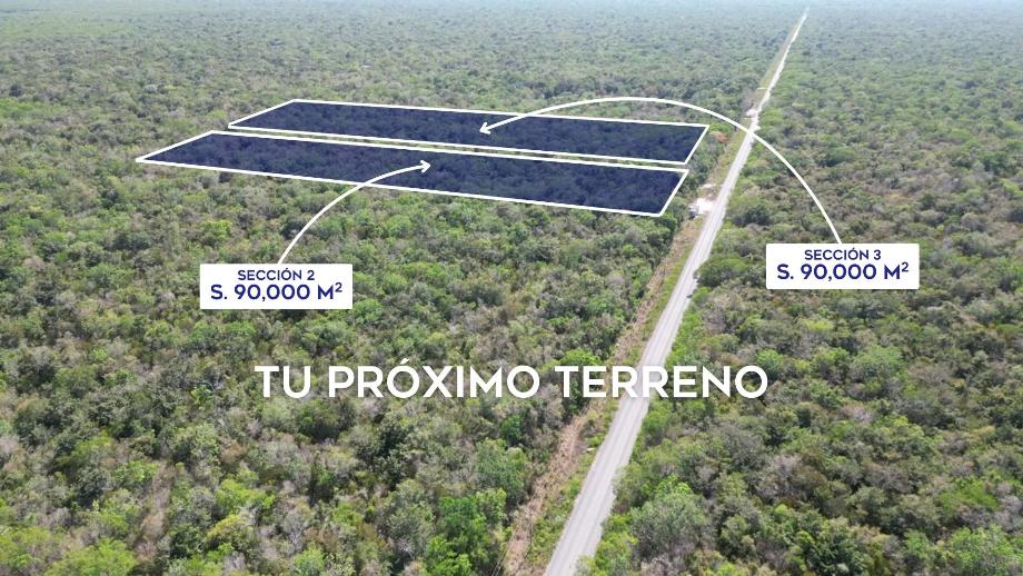 Quintana Roo Puerto Morelos - Leona Vicario, Puerto Morelos, Quintana Roo, 77580, Mexico, 1 Bedroom Bedrooms, ,1 BathroomBathrooms,Residential,For Sale,Quintana Roo Puerto Morelos - Leona Vicario,1640742