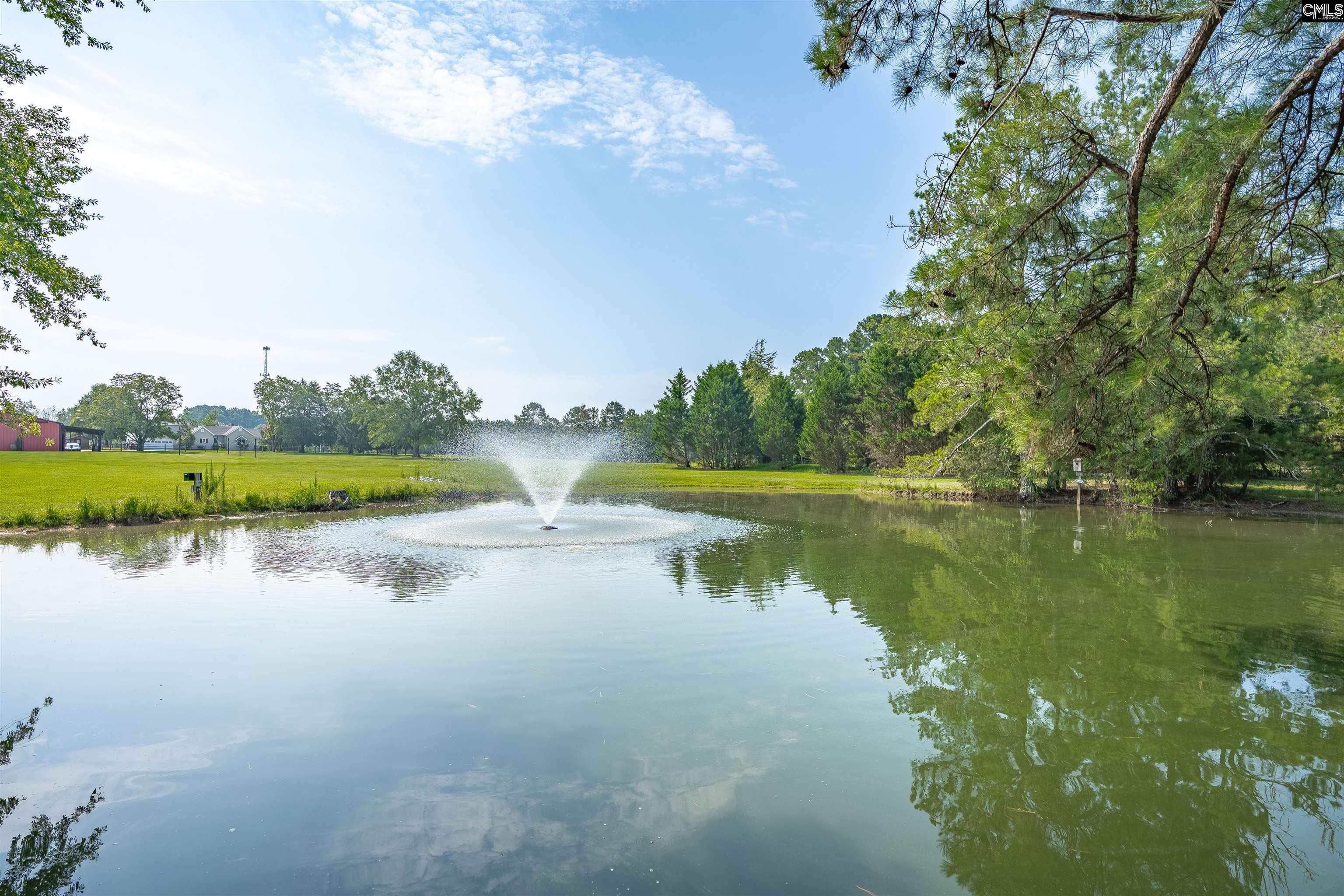 Newberry, South Carolina, 29108, United States, 3 Bedrooms Bedrooms, ,3 BathroomsBathrooms,Residential,For Sale,1987677