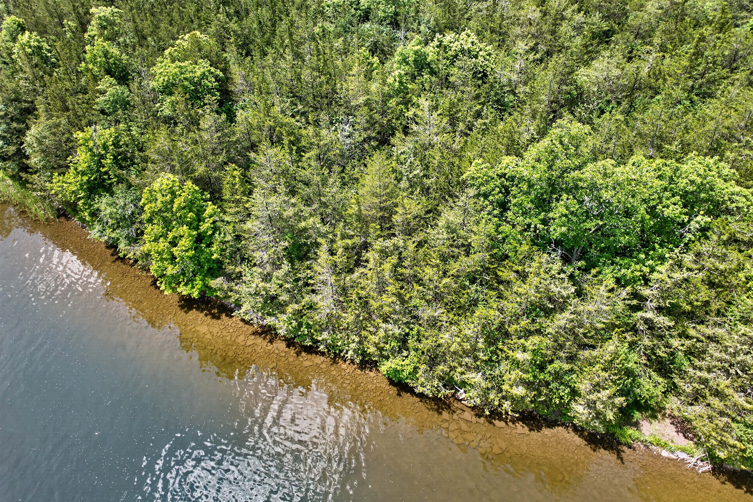  Trent Hills, Eastern Ontario - 物件實景