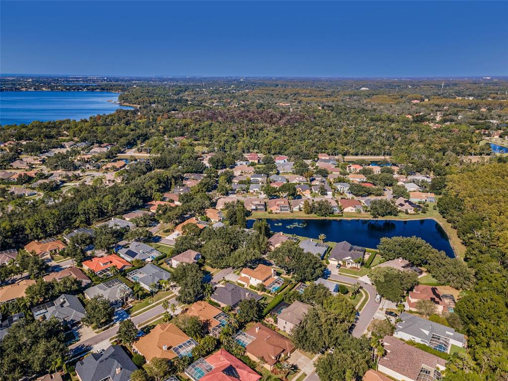 Palm Harbor, Florida, 34685, United States, 4 Bedrooms Bedrooms, ,3 BathroomsBathrooms,Residential,For Sale,1987675