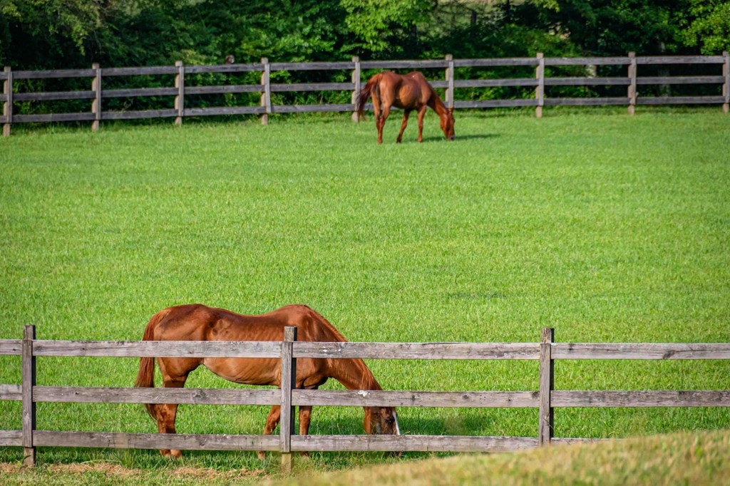Blue Ridge, Georgia, 30513, United States, 3 Bedrooms Bedrooms, ,3 BathroomsBathrooms,Residential,For Sale,1974409