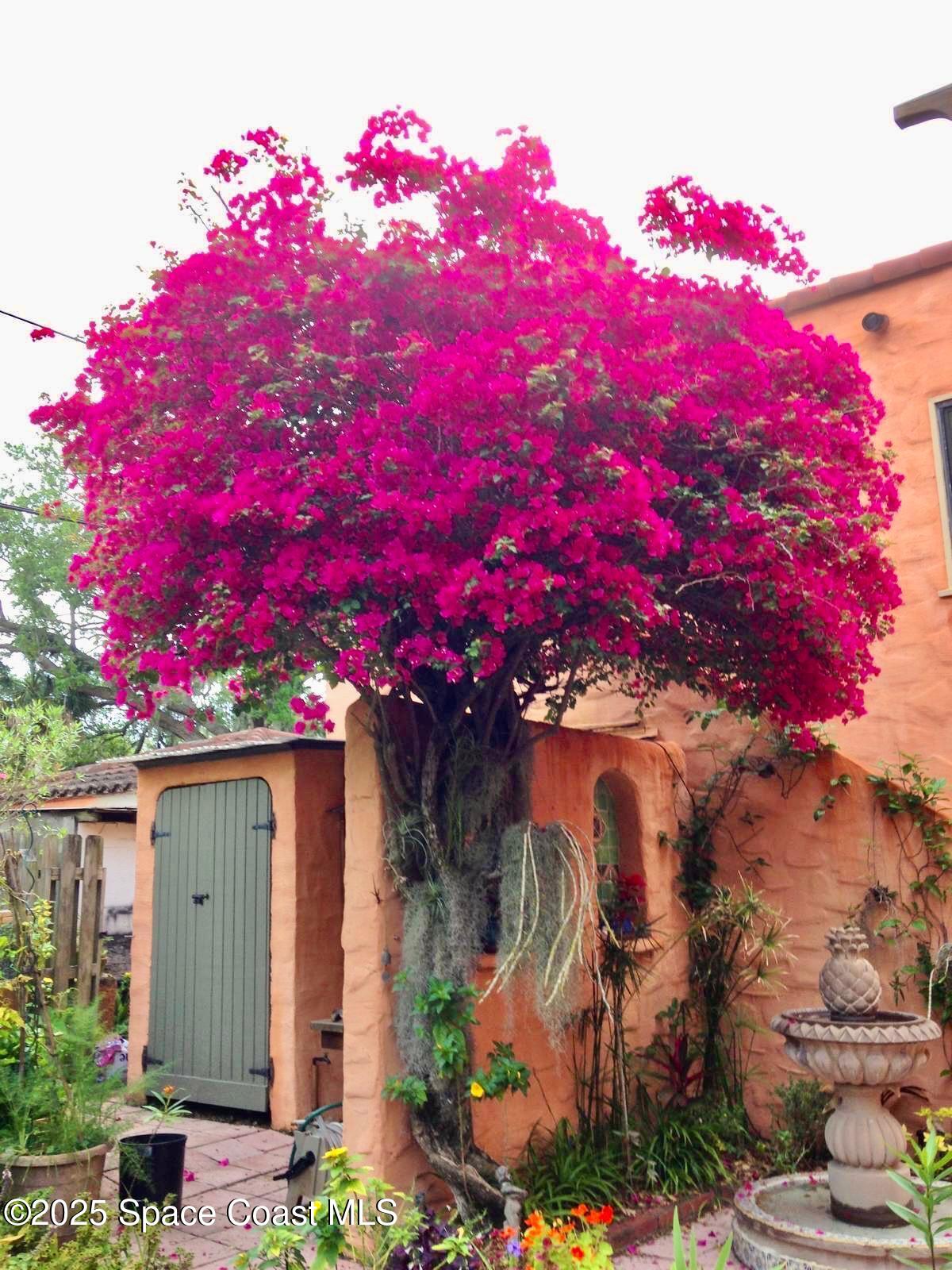 Rockledge, Florida, 32955, United States, 3 Bedrooms Bedrooms, ,2 BathroomsBathrooms,Residential,For Sale,1986460