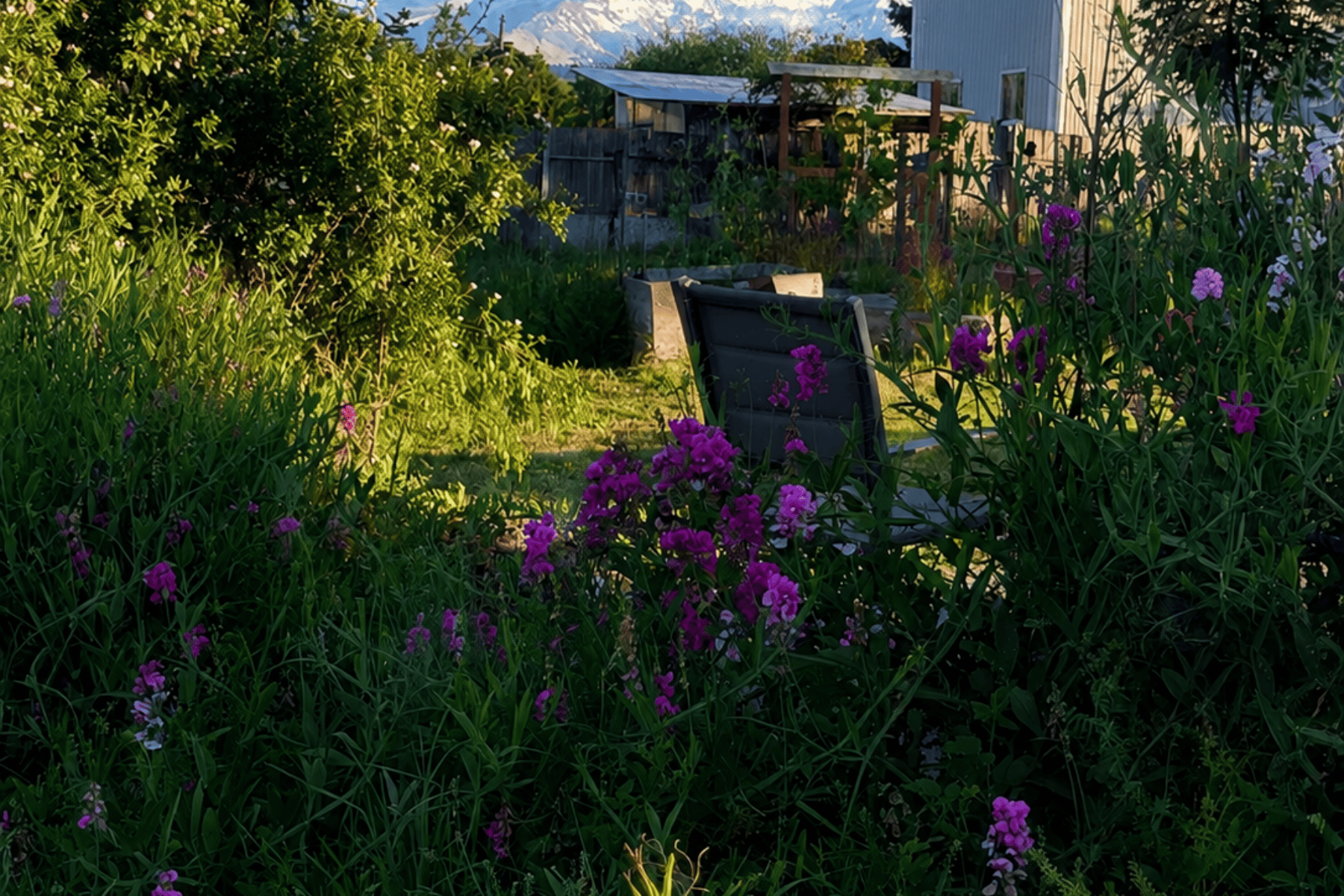  6455 TROUT CREEK RIDGE RD Mt Hood Prkdl, OR 97041 - 物件實景