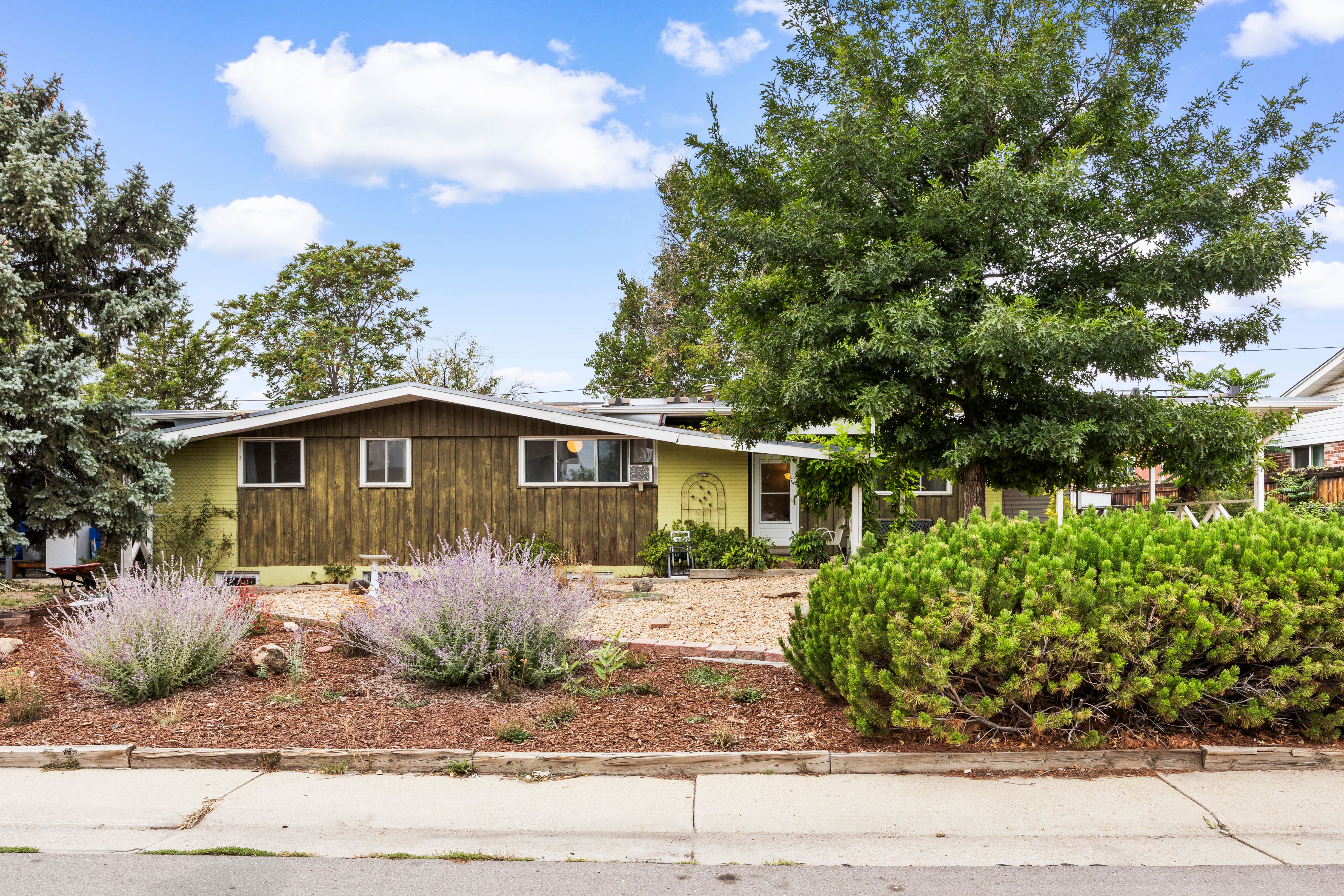  Mid-Century Modern Ranch - 物件實景