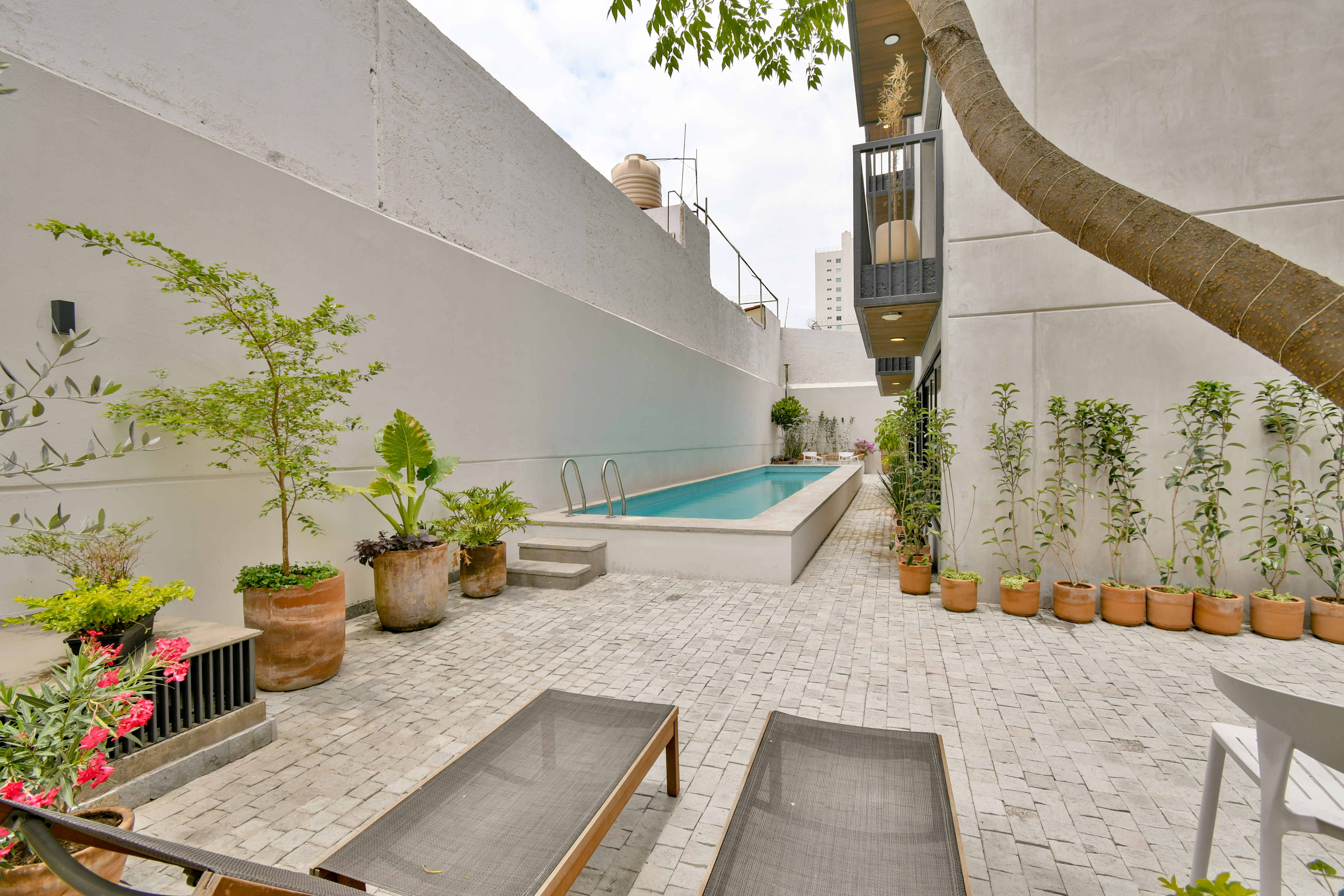  Exclusivo Departamento en Venta en Providencia Torre Altivez - 物件實景