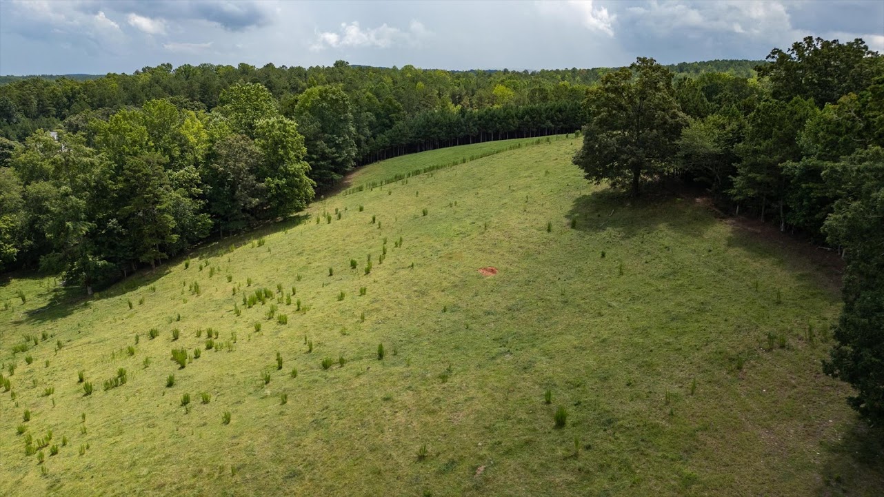 Heflin, Alabama, 36264, United States, ,Land,For Sale,1981342