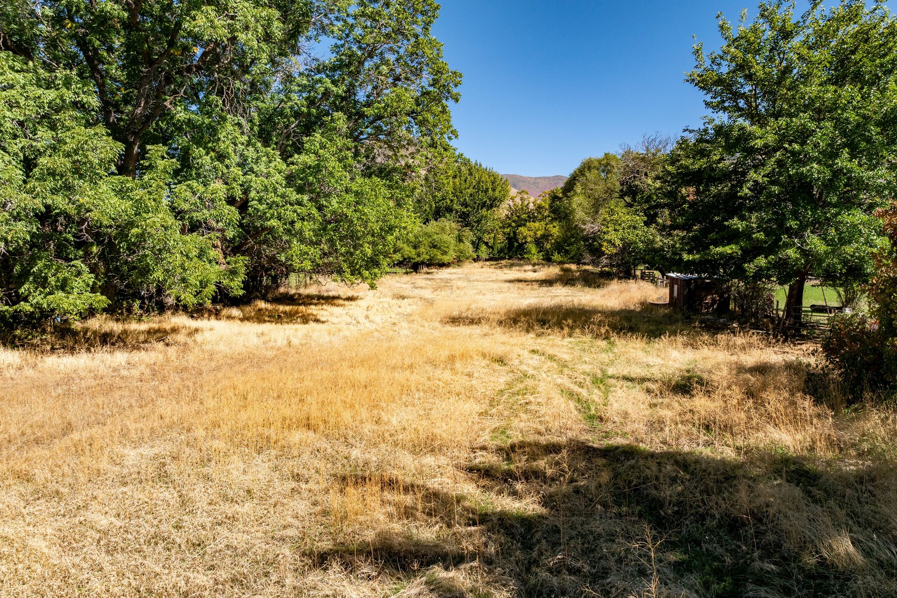  1 Acre in Mapleton off of Main Street - 物件實景