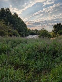 Fennville, Michigan, 49408, United States, ,Land,For Sale,1865196