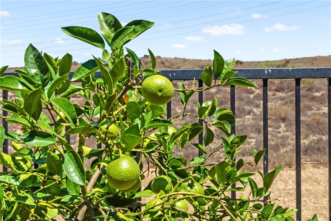 Beaumont, California, 92223, United States, 3 Bedrooms Bedrooms, ,3 BathroomsBathrooms,Residential,For Sale,1979571