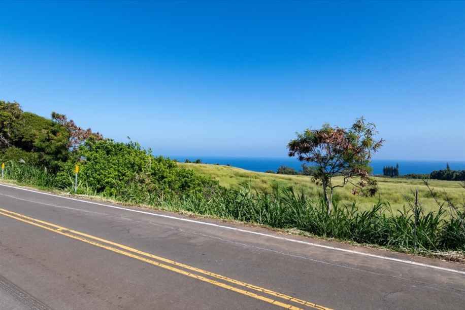 Kapaau, Hawaii, 96755, United States, ,Land,For Sale,2005975