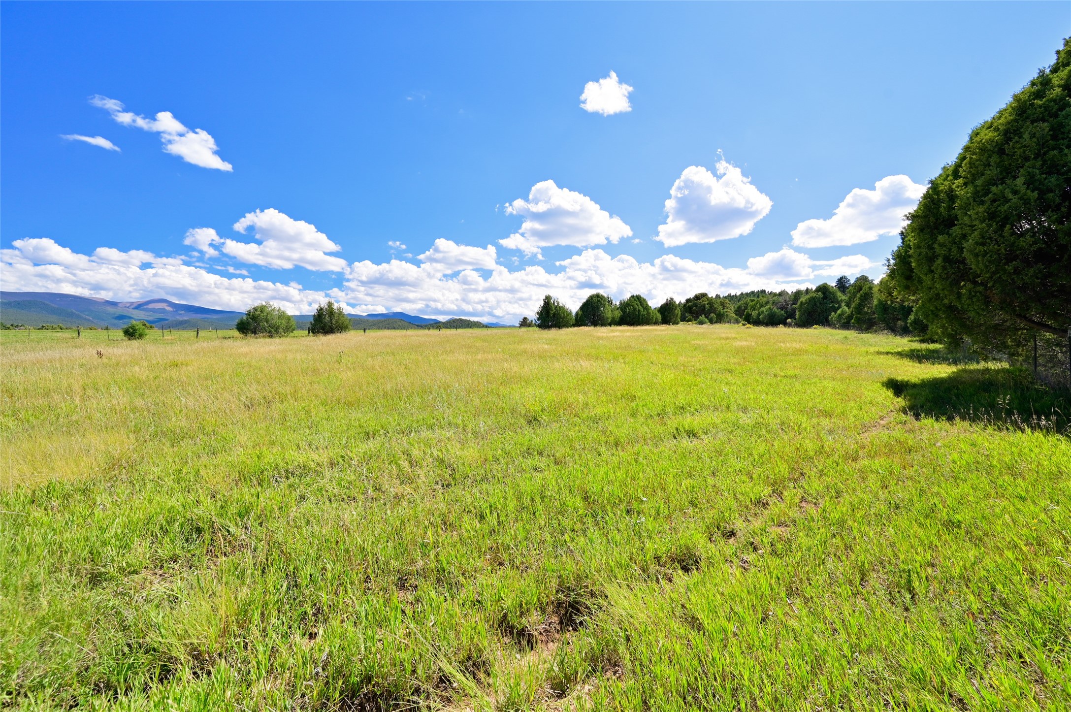  157 Pacheco Road - 物件實景