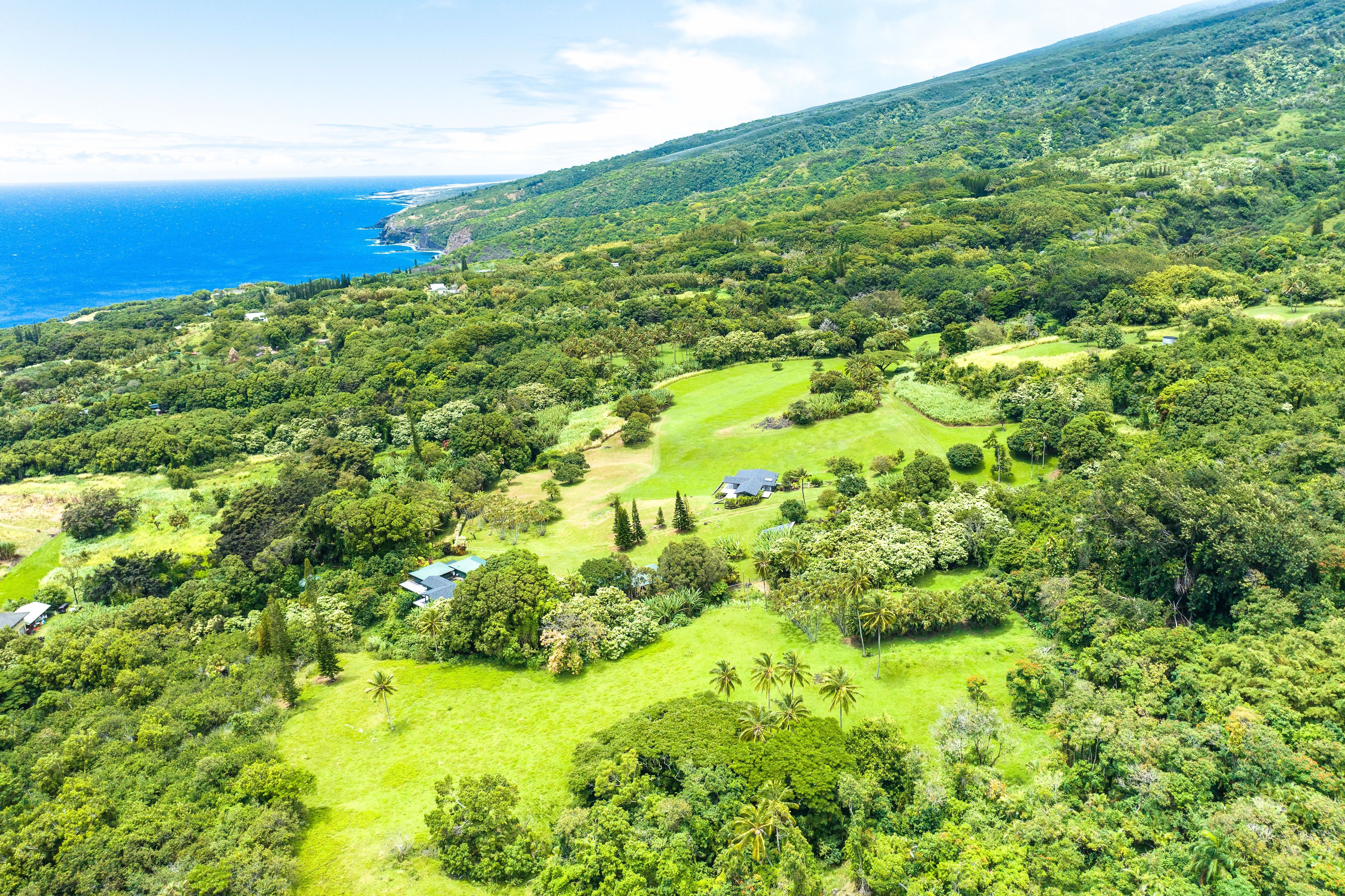  Tropical Escape Over 54 Acres, Breathtaking Ocean Views - 物件實景