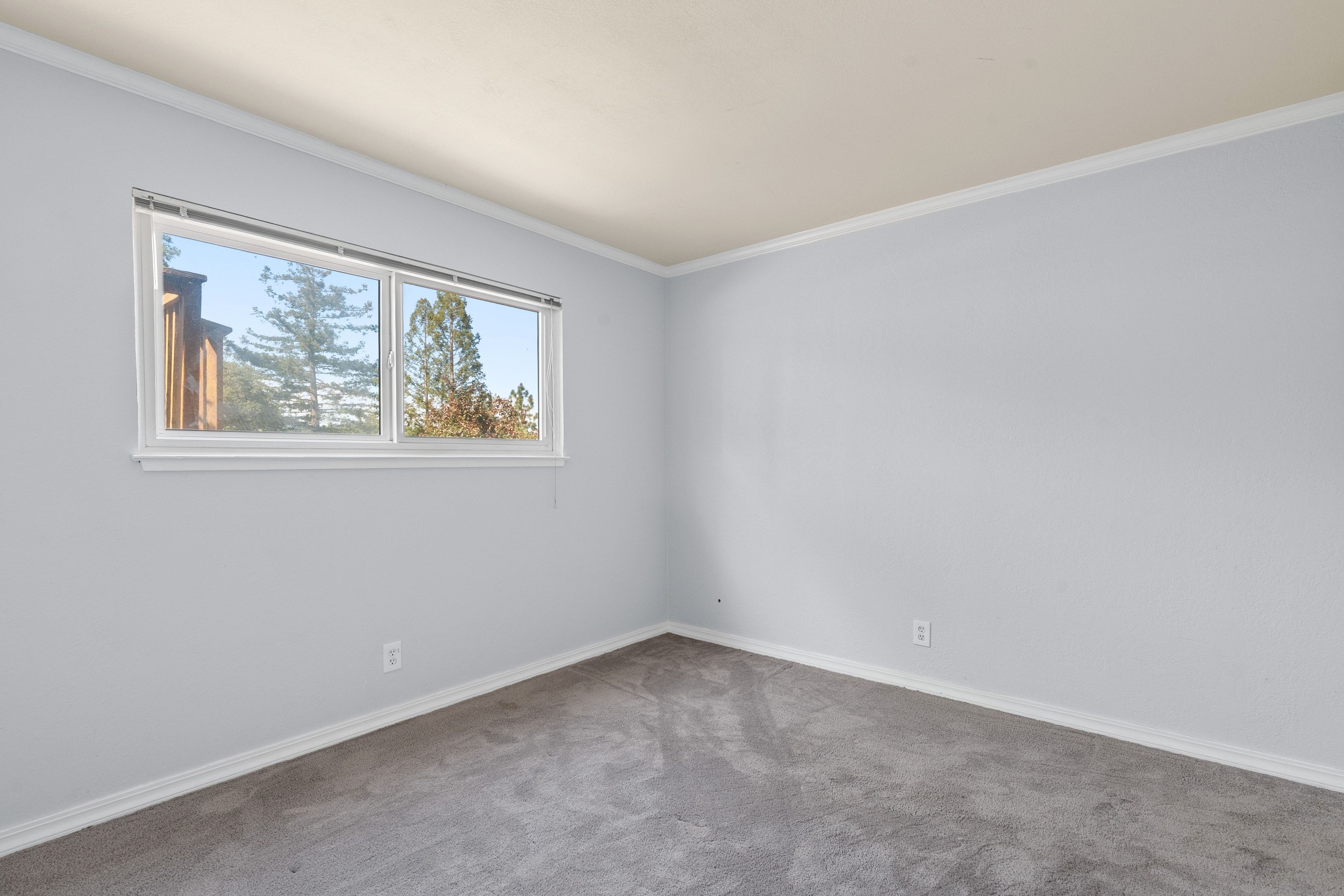  141 Lunar Drive - 物件實景