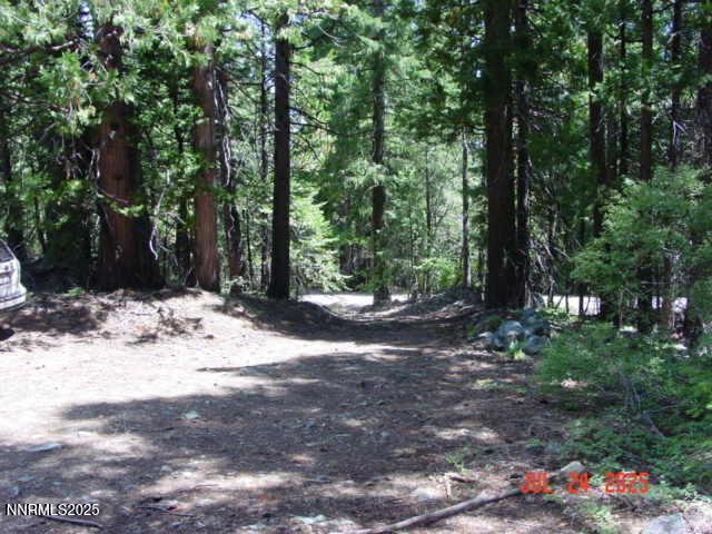Clio, California, 96106, United States, ,Residential,For Sale,1932823