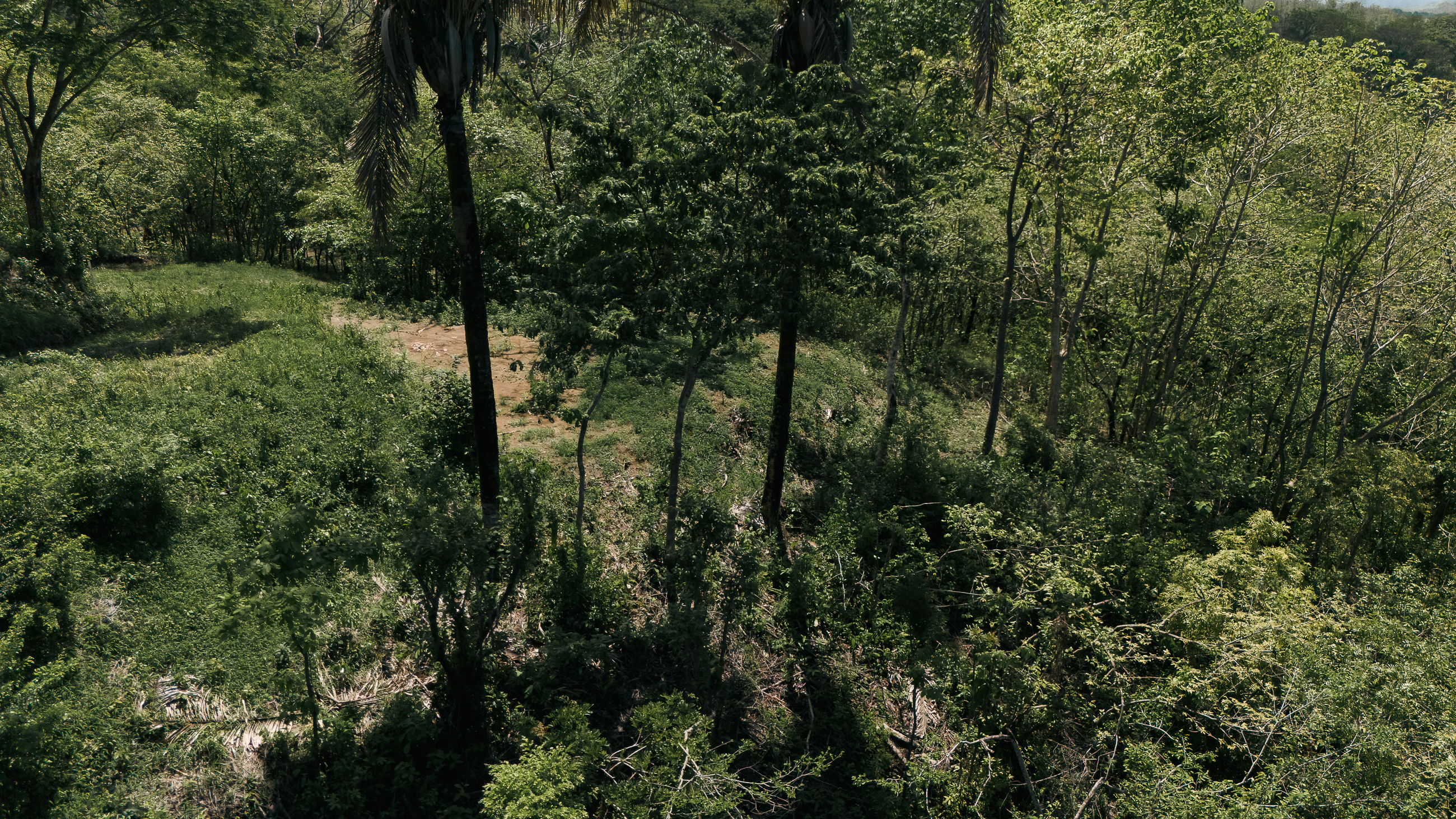 Nosara, Guanacaste, CR, ,Land,For Sale,1669008