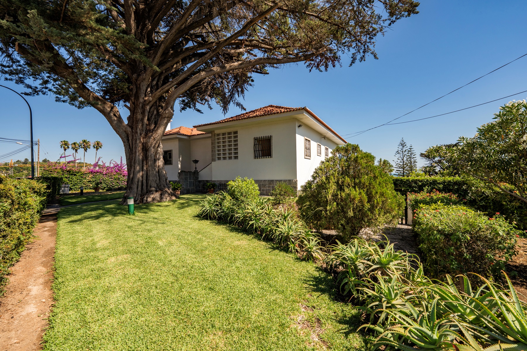  Detached house, 6 bedrooms, for Sale - 物件實景