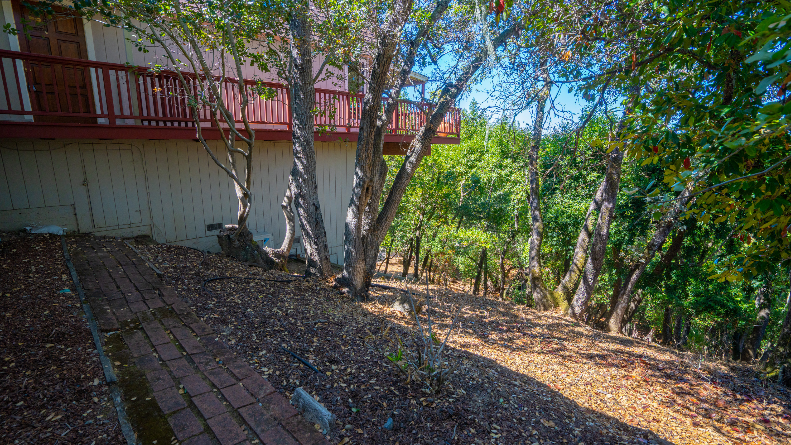  Panoramic Views in Private East Novato - 物件實景