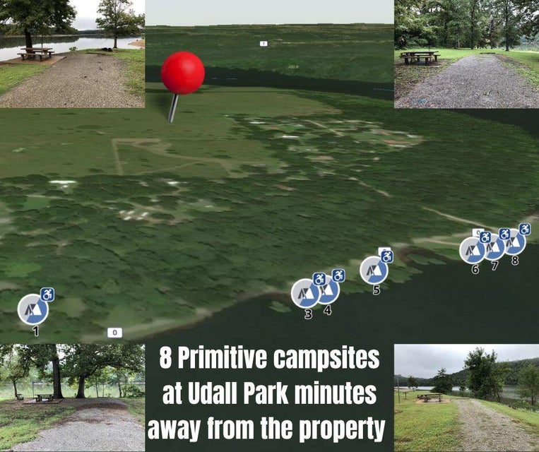 Udall, Missouri, 65766, United States, ,Land,For Sale,1984172