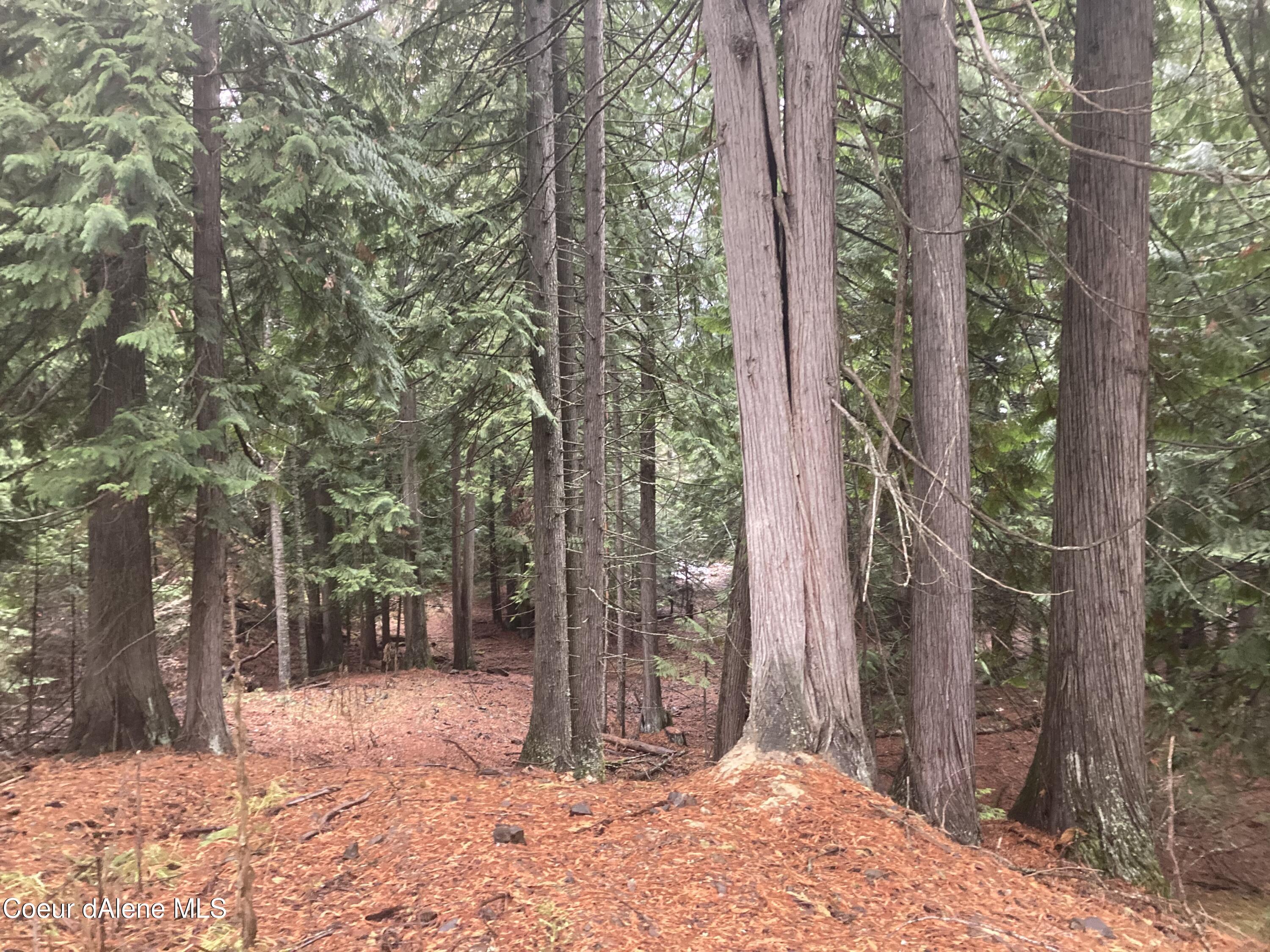 85 S Millview Lane, Coeur d'Alene, Idaho, 83814, United States, ,Residential,For Sale,85 S Millview Lane,1476039