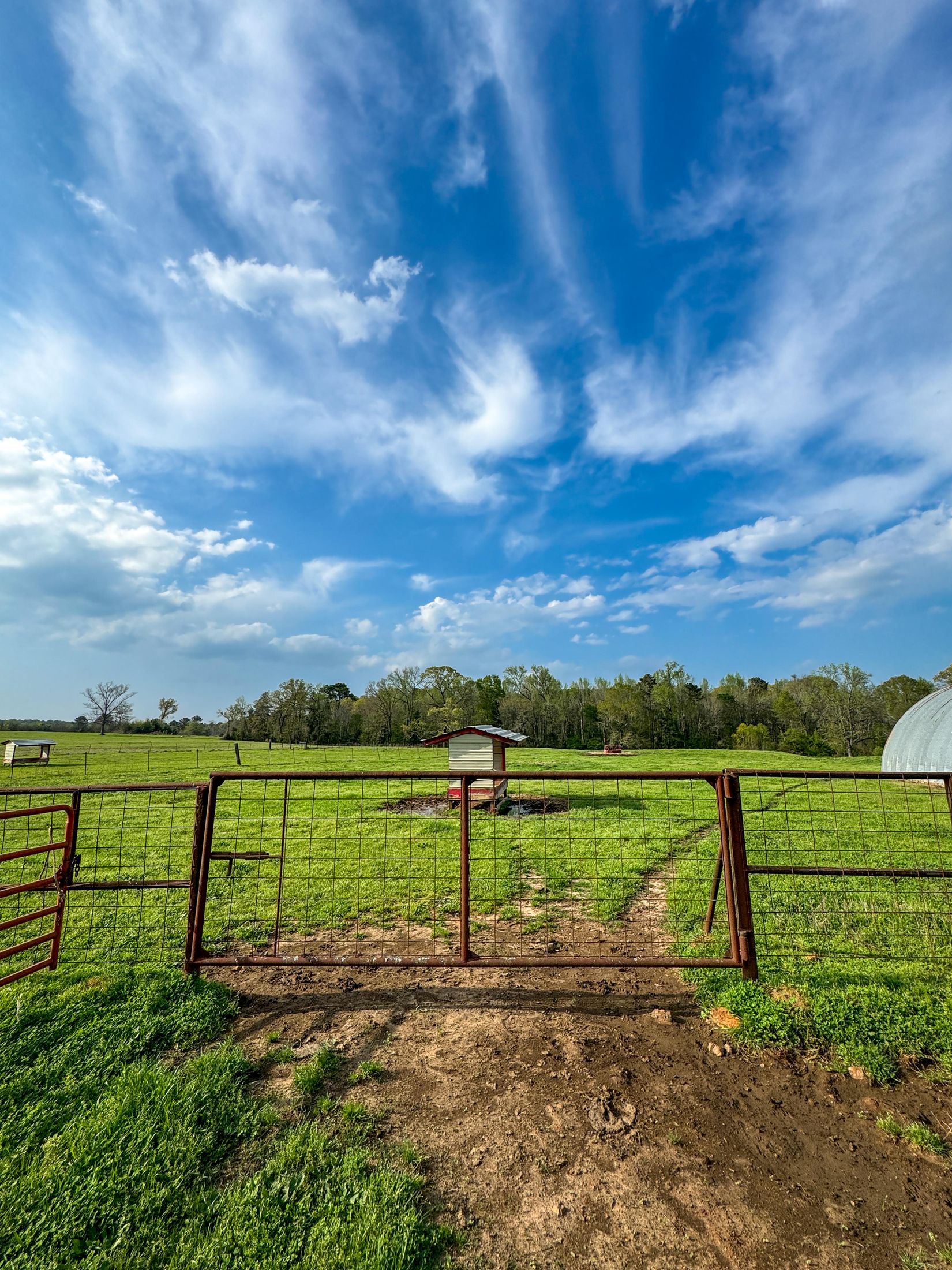 Bivins, Texas, 75555, United States, ,Residential,For Sale,1755933