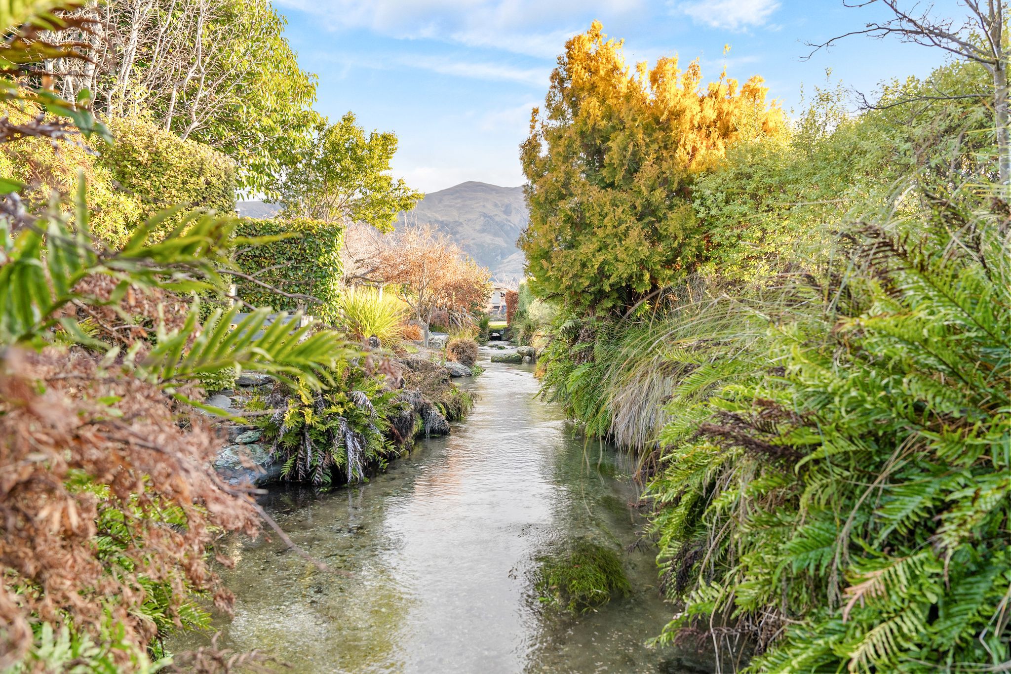  First Time to Market in Downtown Wanaka - 物件實景