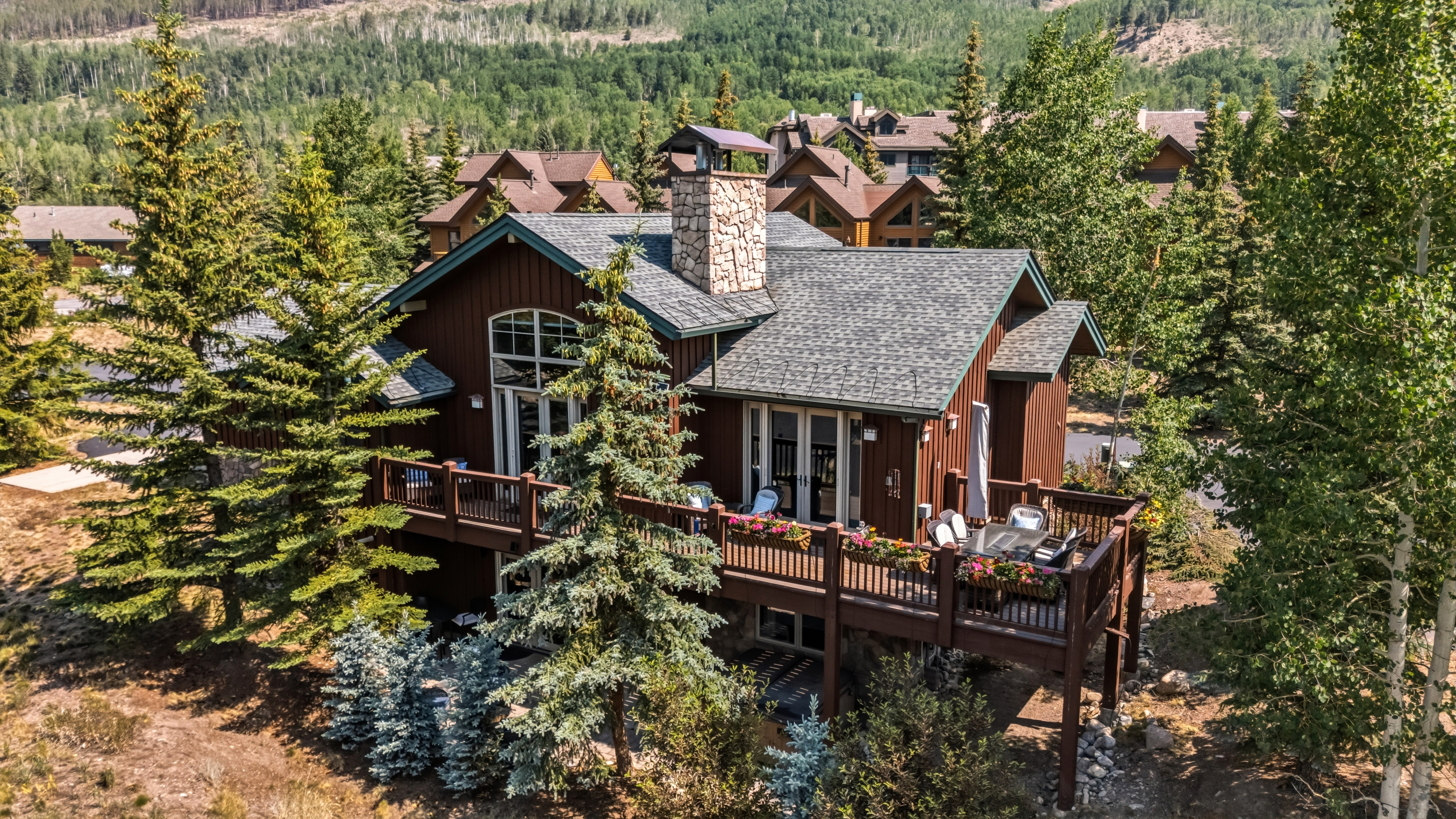  18 Snake River Road, Keystone, CO, 80435 - 物件實景