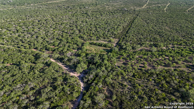 Beeville, Texas, 78102, United States, ,Land,For Sale,1942121
