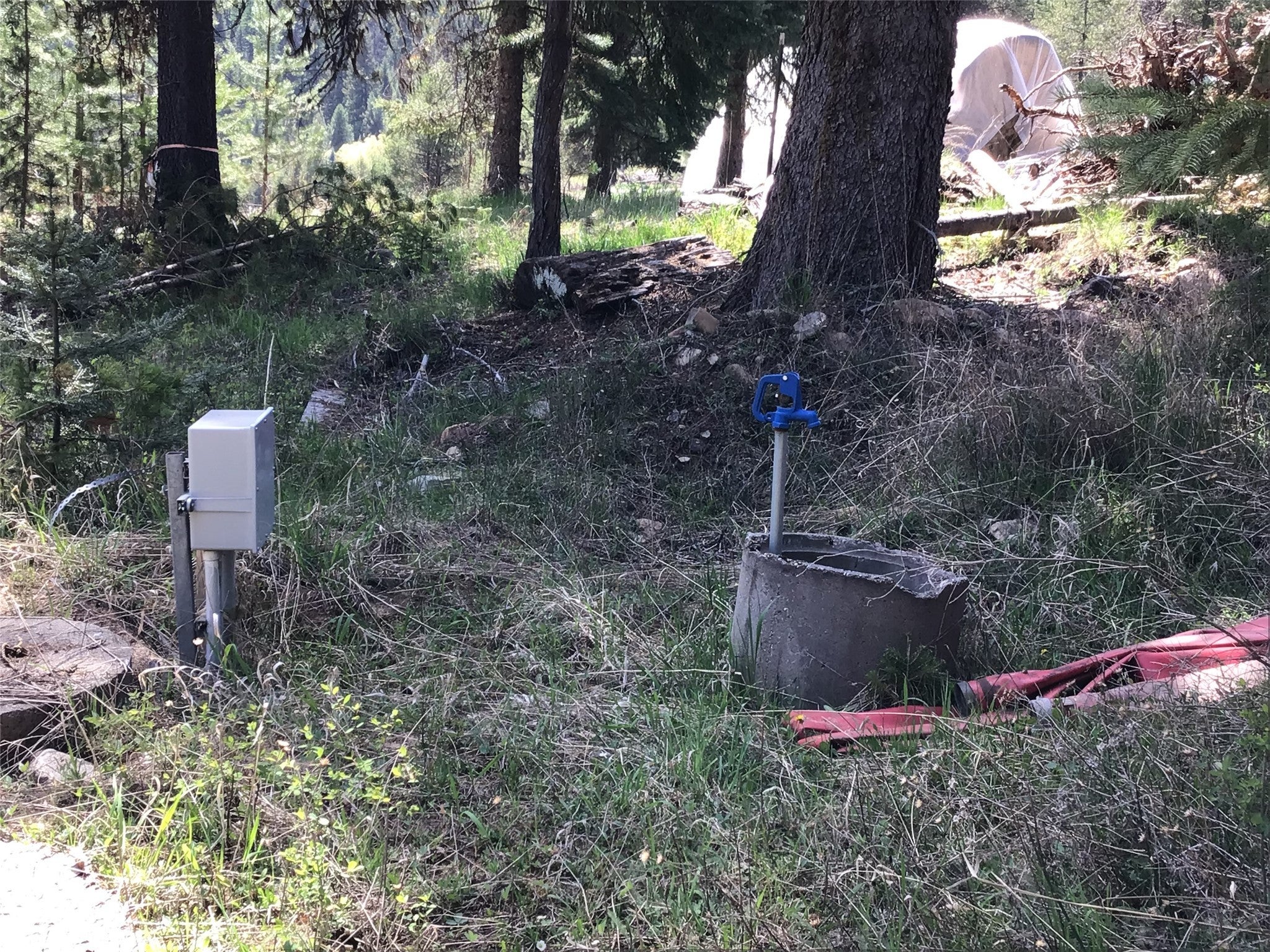 De Borgia, Montana, 59830, United States, 2 Bedrooms Bedrooms, ,1 BathroomBathrooms,Residential,For Sale,1806179