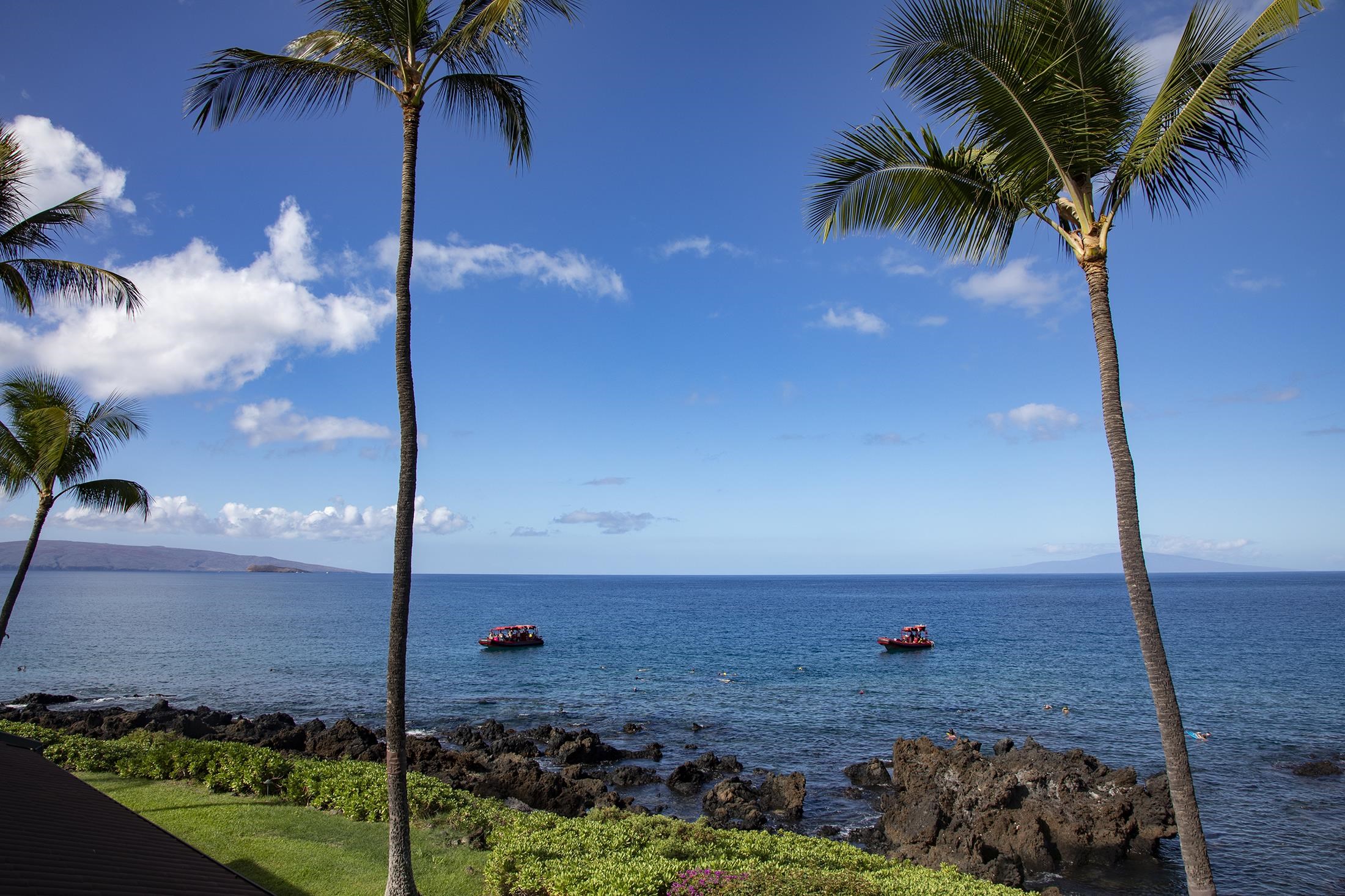 Kihei, Hawaii, 96753-5434, United States, 2 Bedrooms Bedrooms, ,2 BathroomsBathrooms,Residential,For Sale,2000477