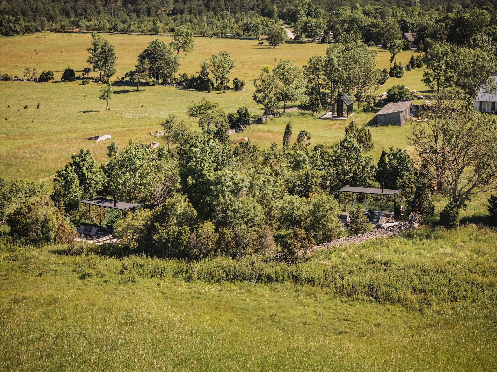  Pilguse Residency - a historic 90-hectare eco-luxury estate - 物件實景