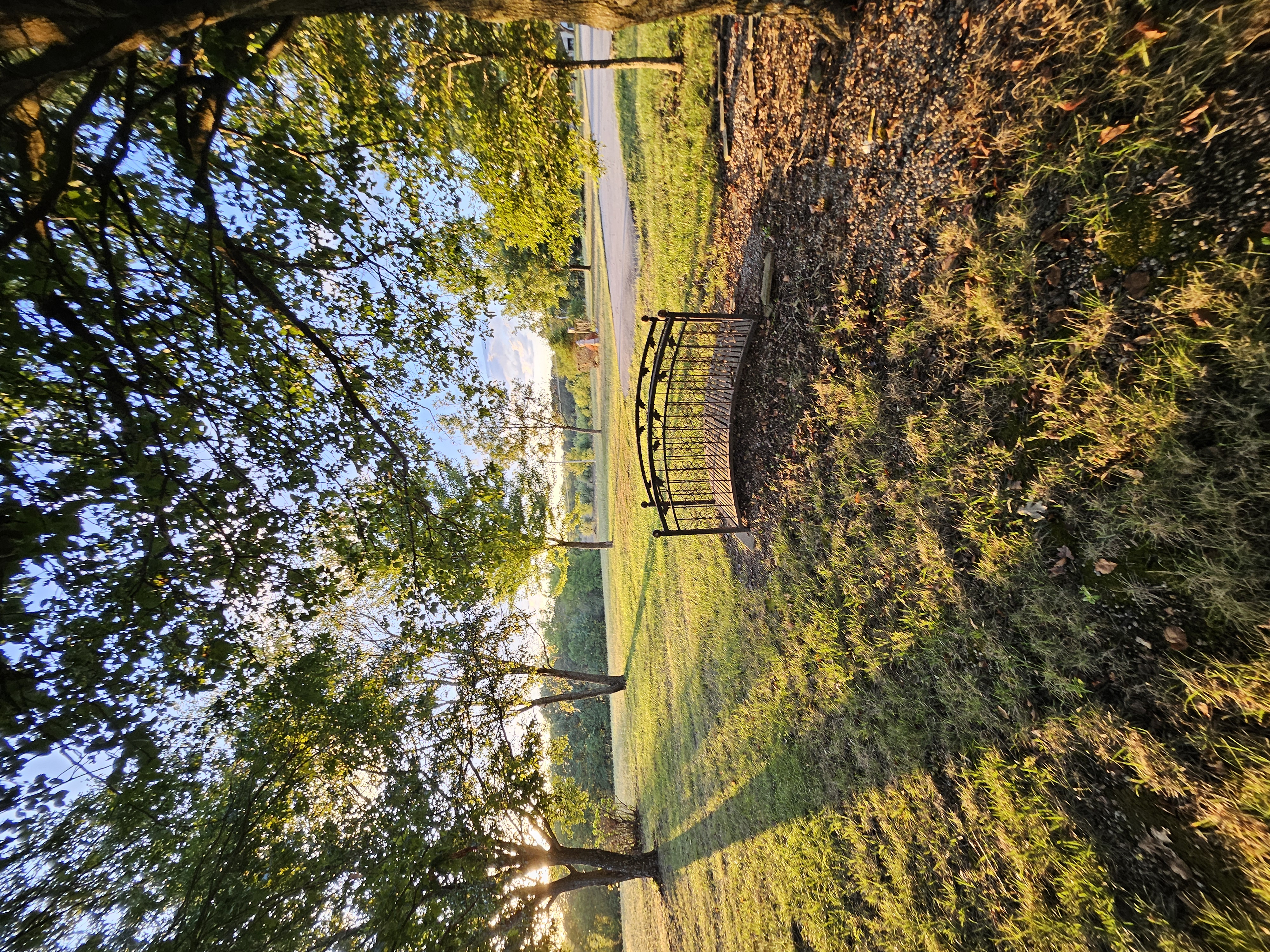 Pierce City, Missouri, 65723, United States, 5 Bedrooms Bedrooms, ,3 BathroomsBathrooms,Residential,For Sale,1975319