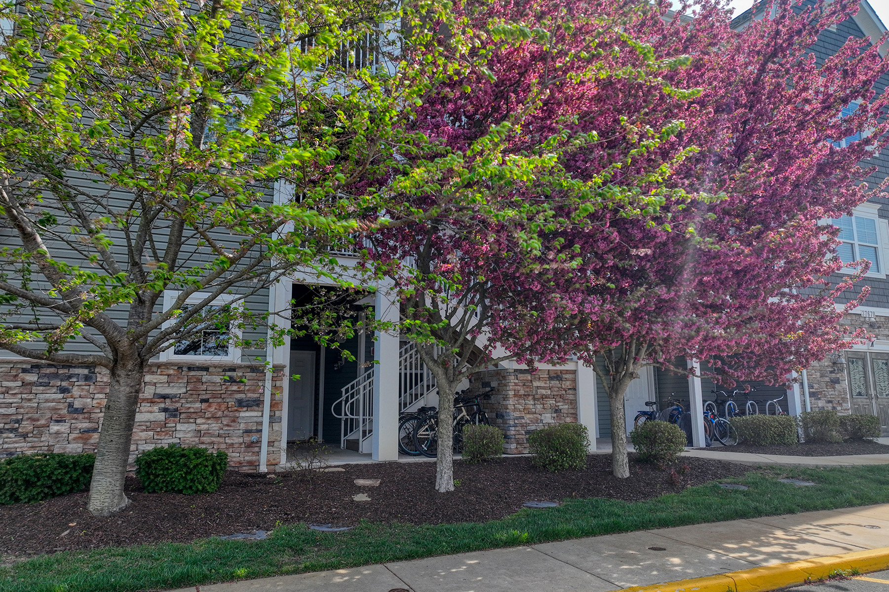  37670 Exeter Drive , 2 - 物件實景