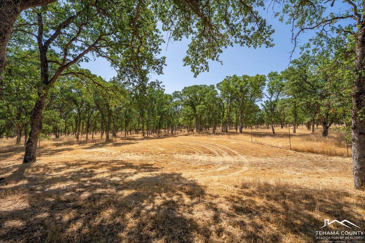Red Bluff, California, 96080, United States, 3 Bedrooms Bedrooms, ,2 BathroomsBathrooms,Residential,For Sale,1911945