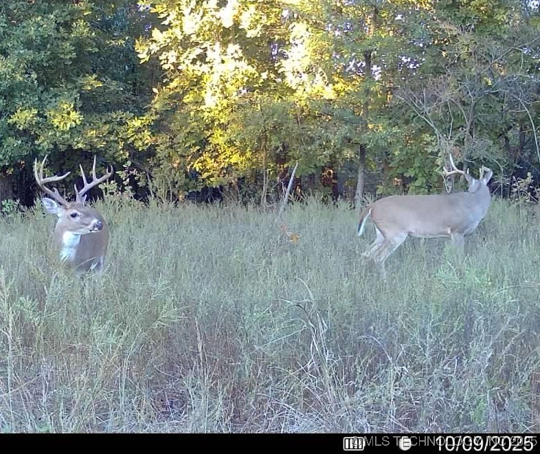 Haskell, Oklahoma, 74436, United States, ,Residential,For Sale,1989173