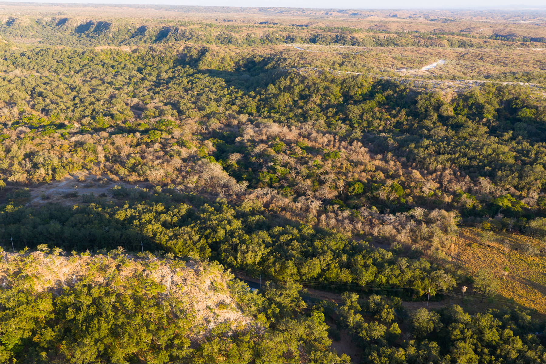  Curubande River Forest Treasure - 物件實景